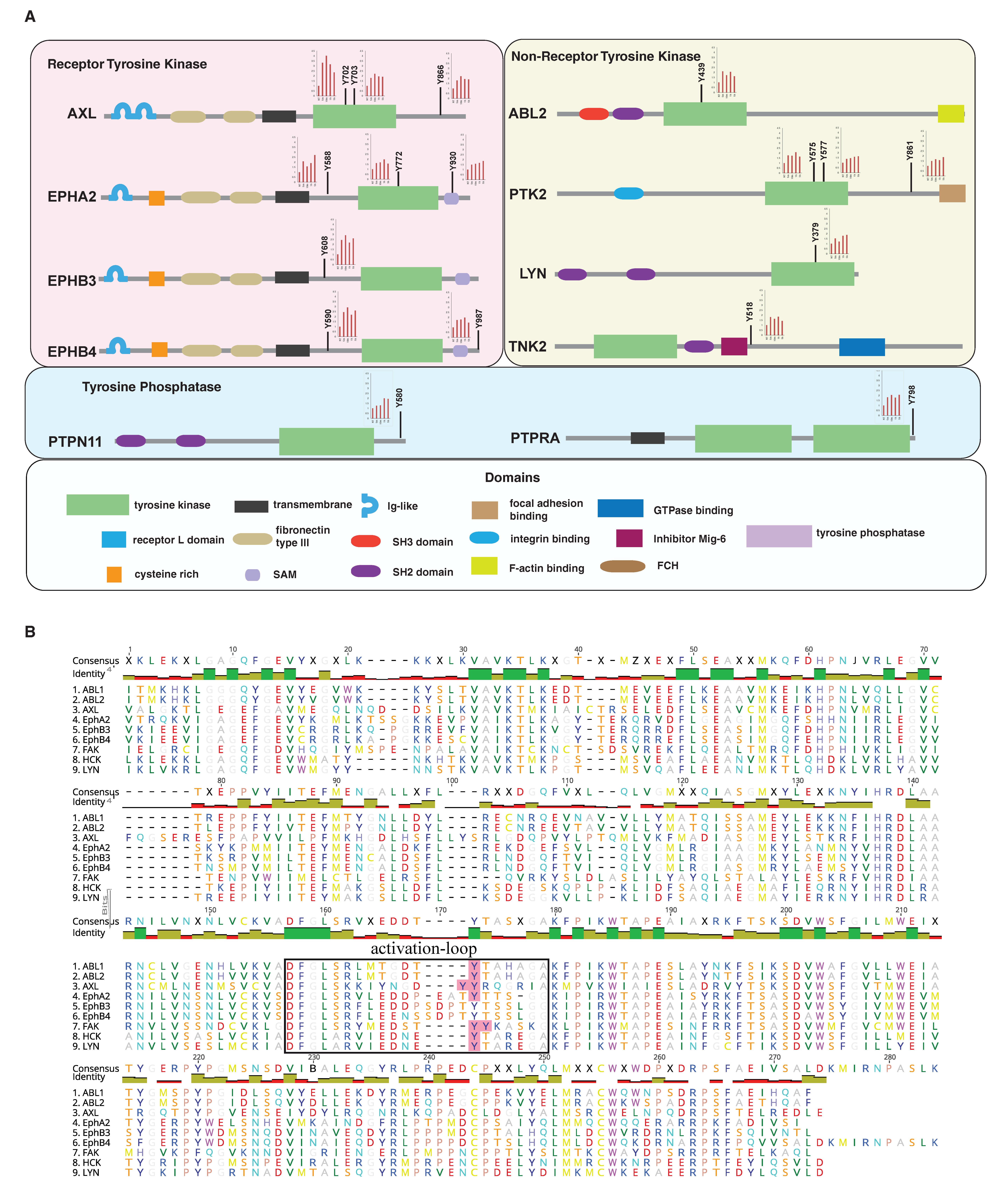 Cancers 13 04234 g005