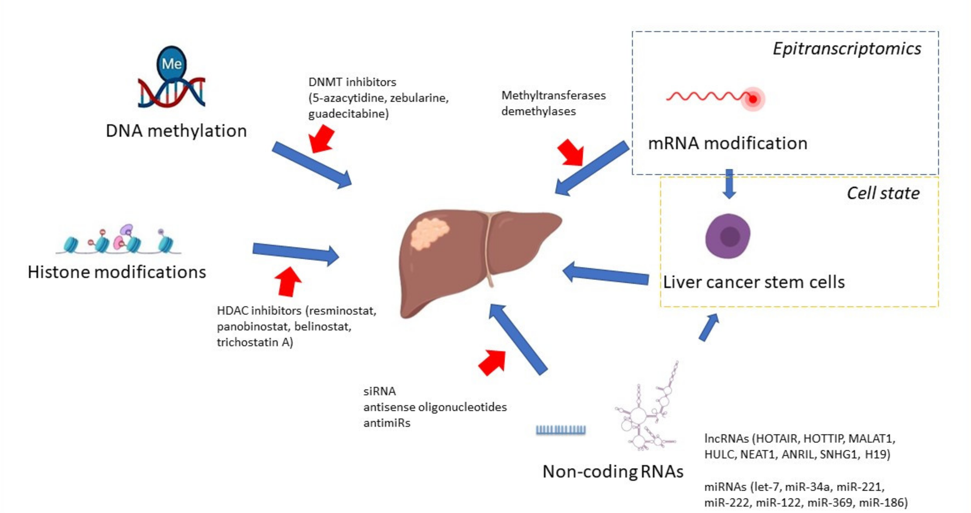 Cancers 13 04237 g001 Cancers 13 04237 g001