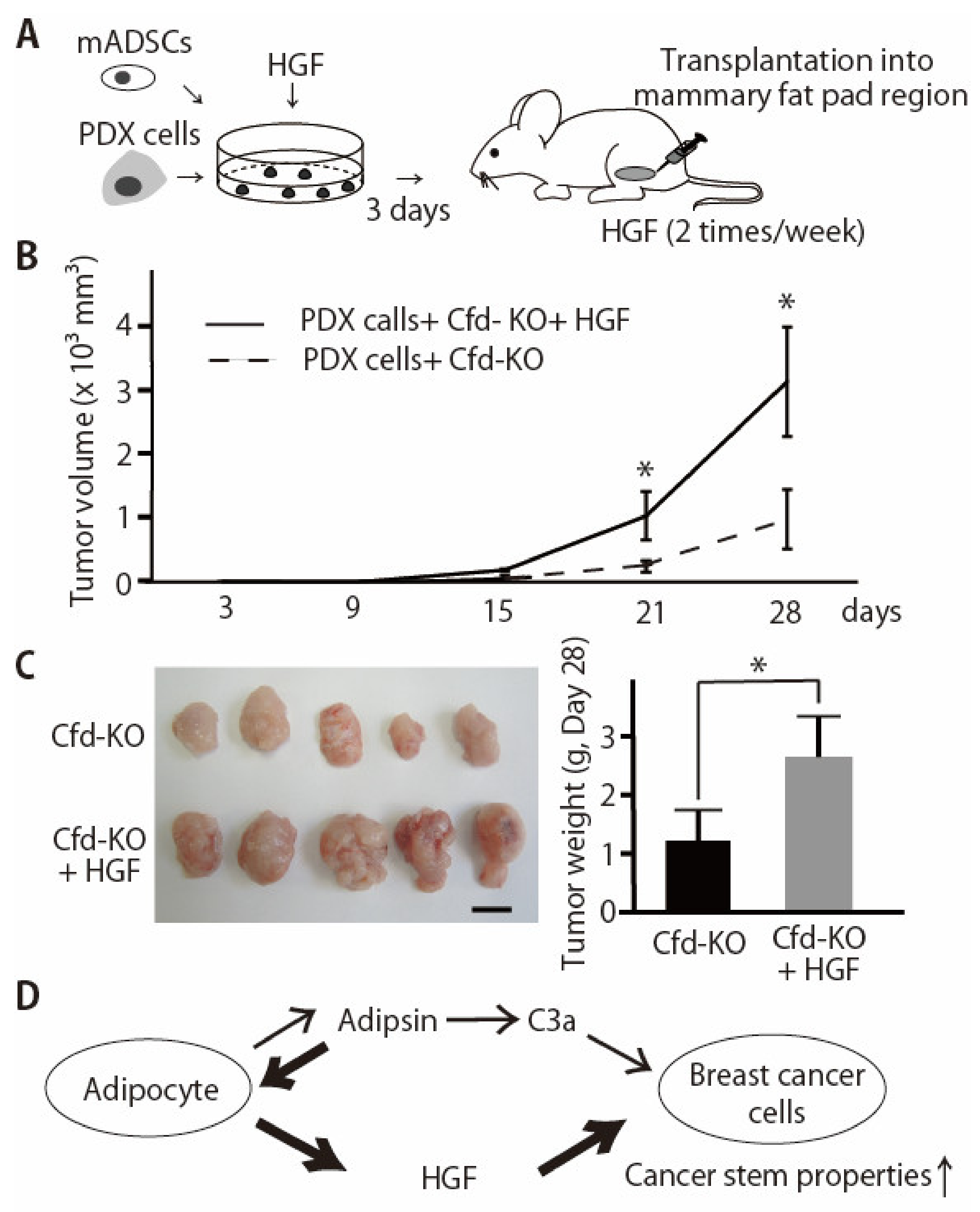 Cancers 13 04238 g005 Cancers 13 04238 g005