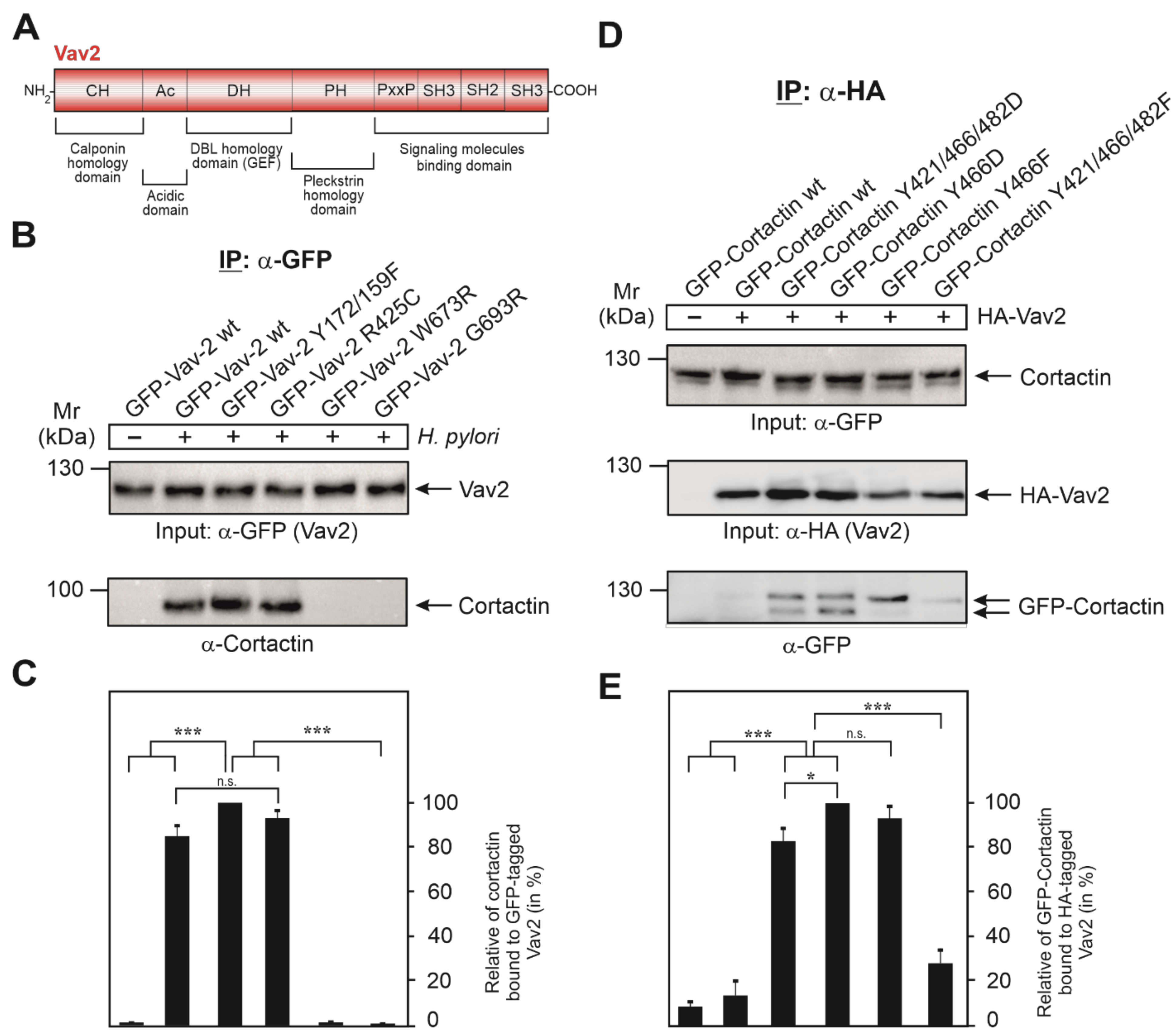 Cancers 13 04241 g005