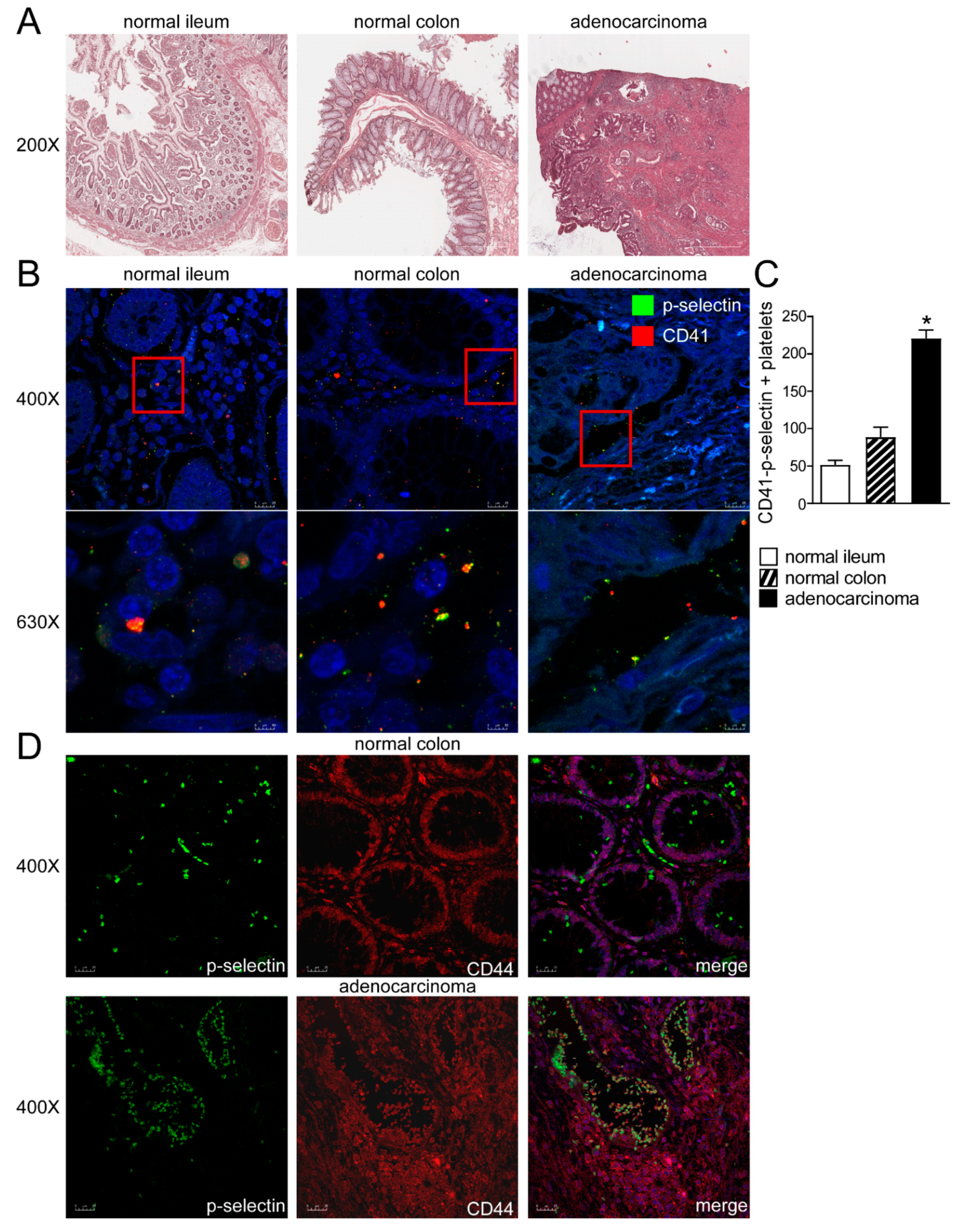 Cancers 13 04243 g001 Cancers 13 04243 g001