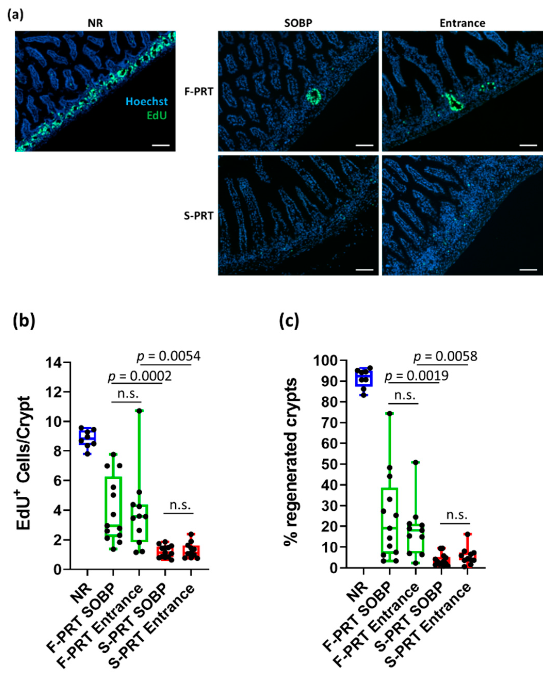 Cancers 13 04244 g004