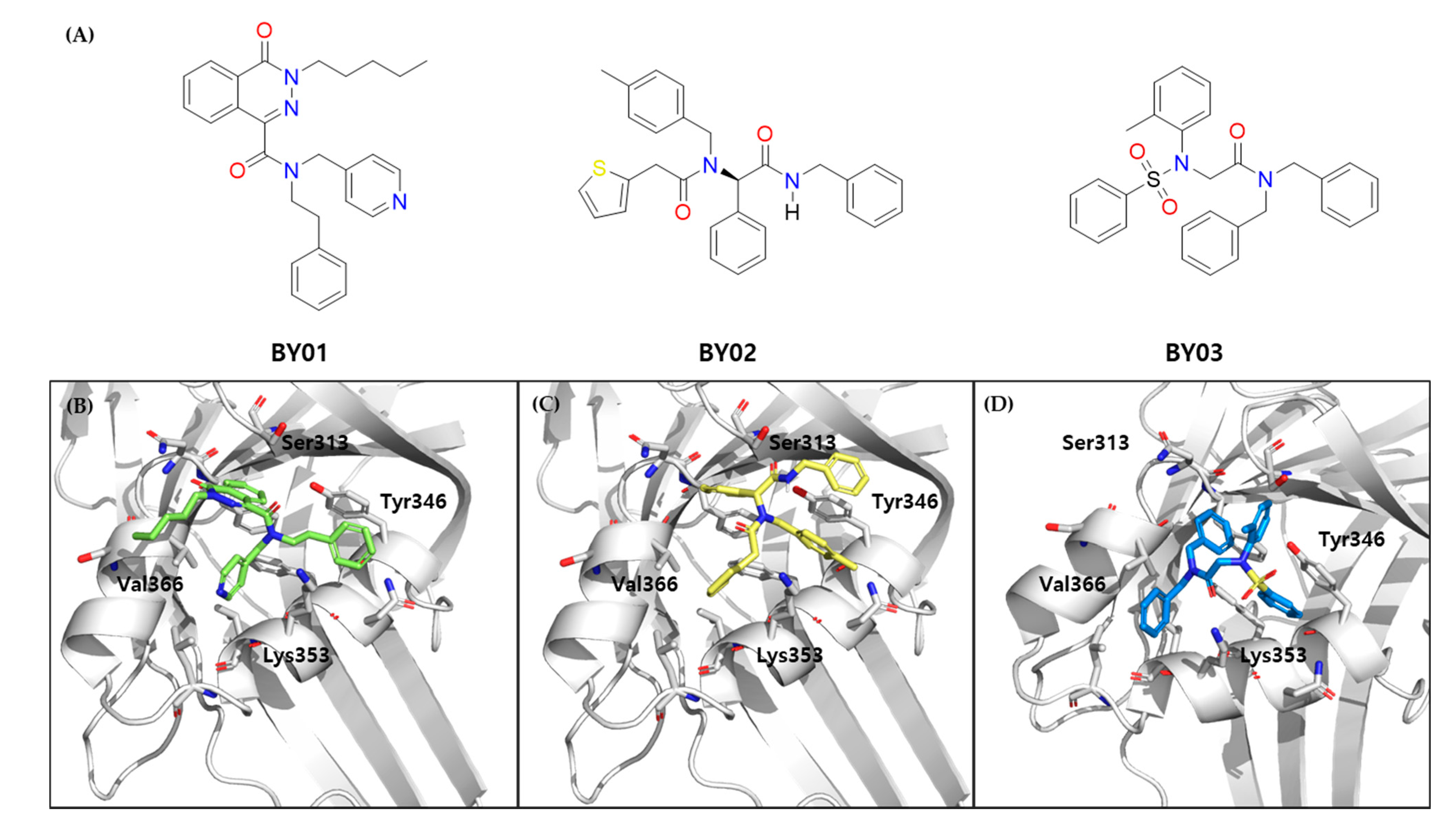 Cancers 13 04246 g005 Cancers 13 04246 g005