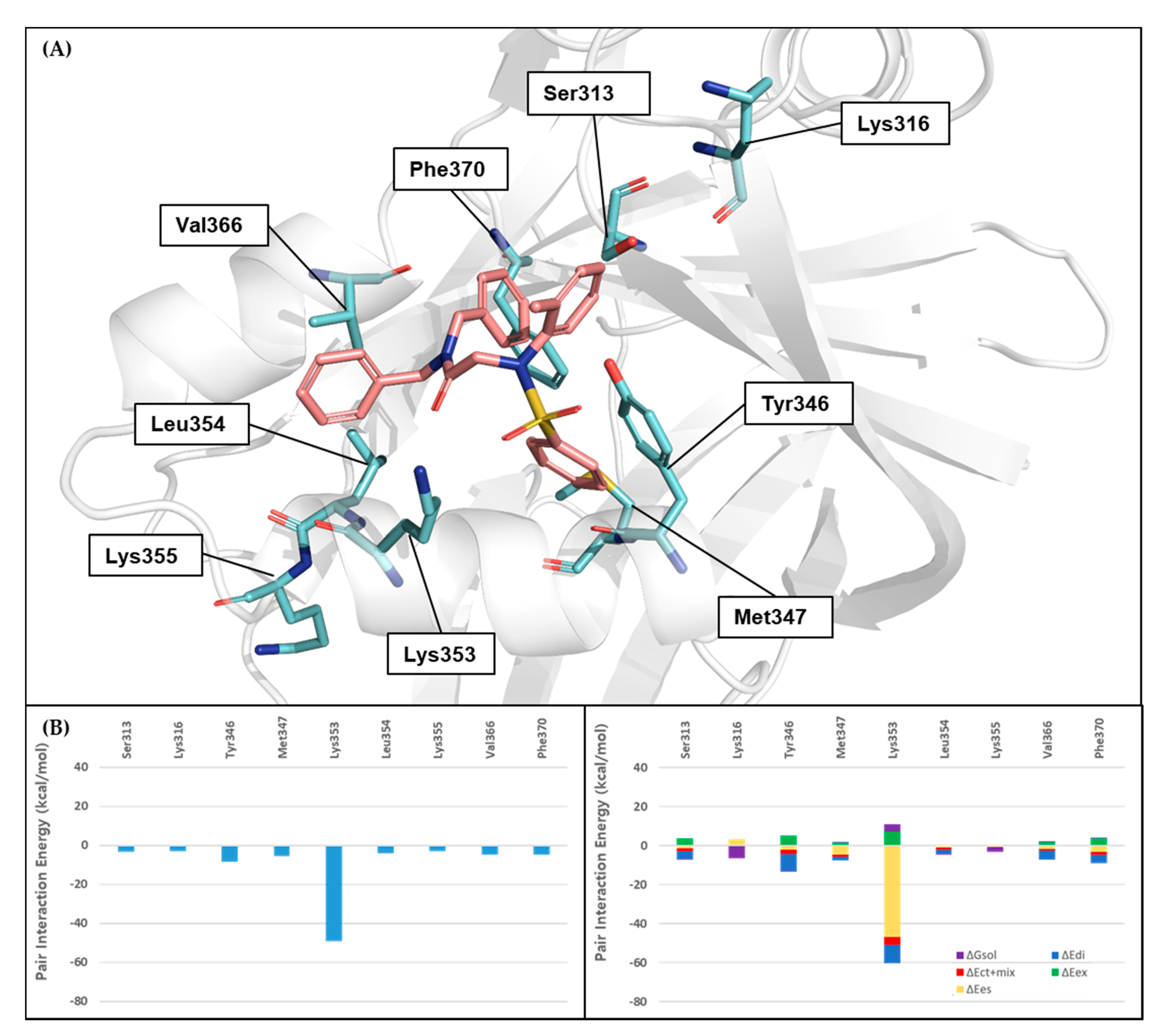 Cancers 13 04246 g011 Cancers 13 04246 g011