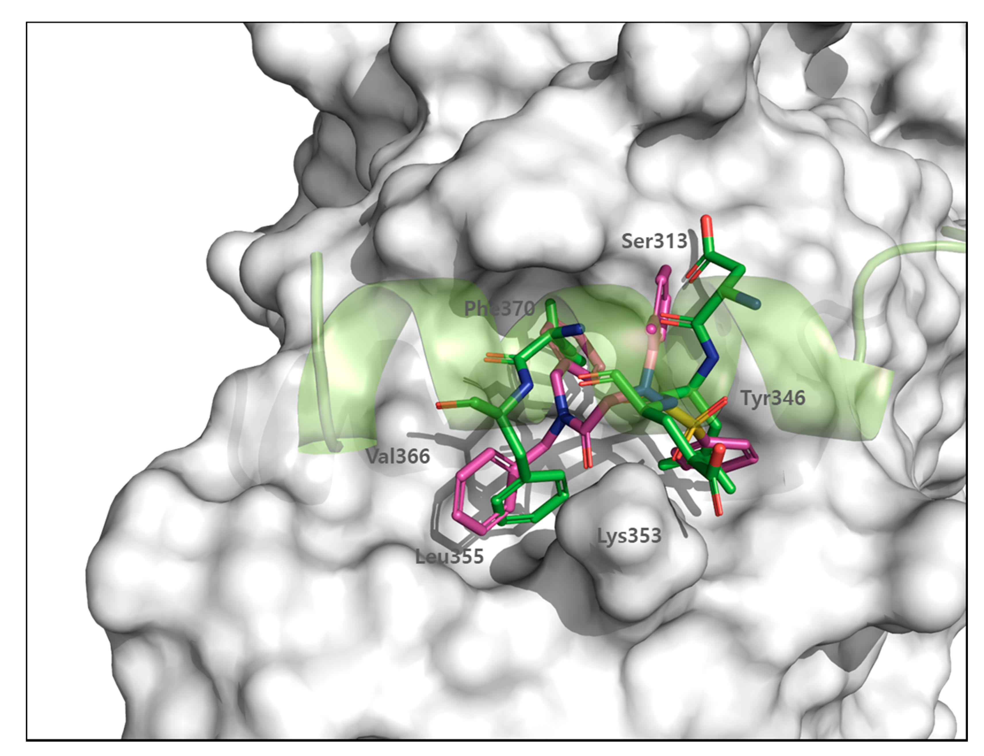 Cancers 13 04246 g012 Cancers 13 04246 g012