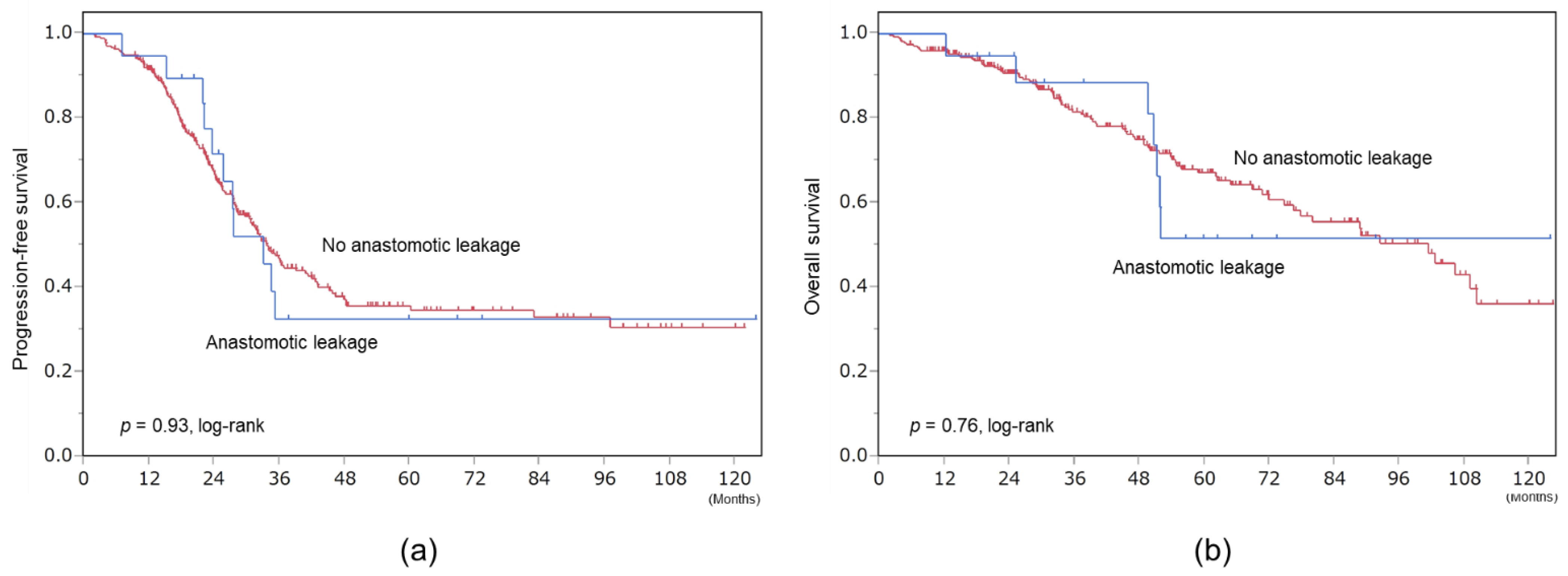 Cancers 13 04248 g003