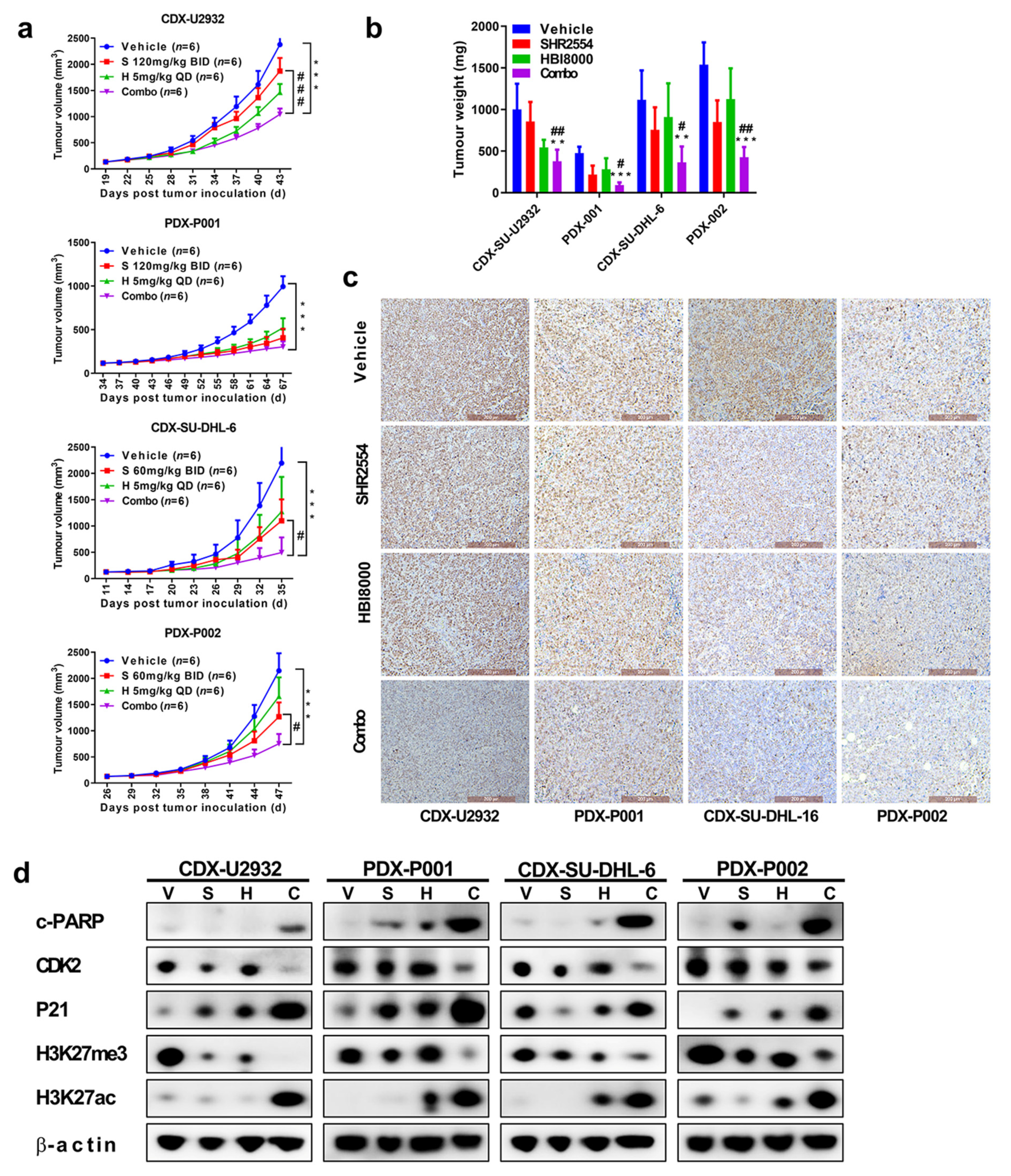 Cancers 13 04249 g005 550