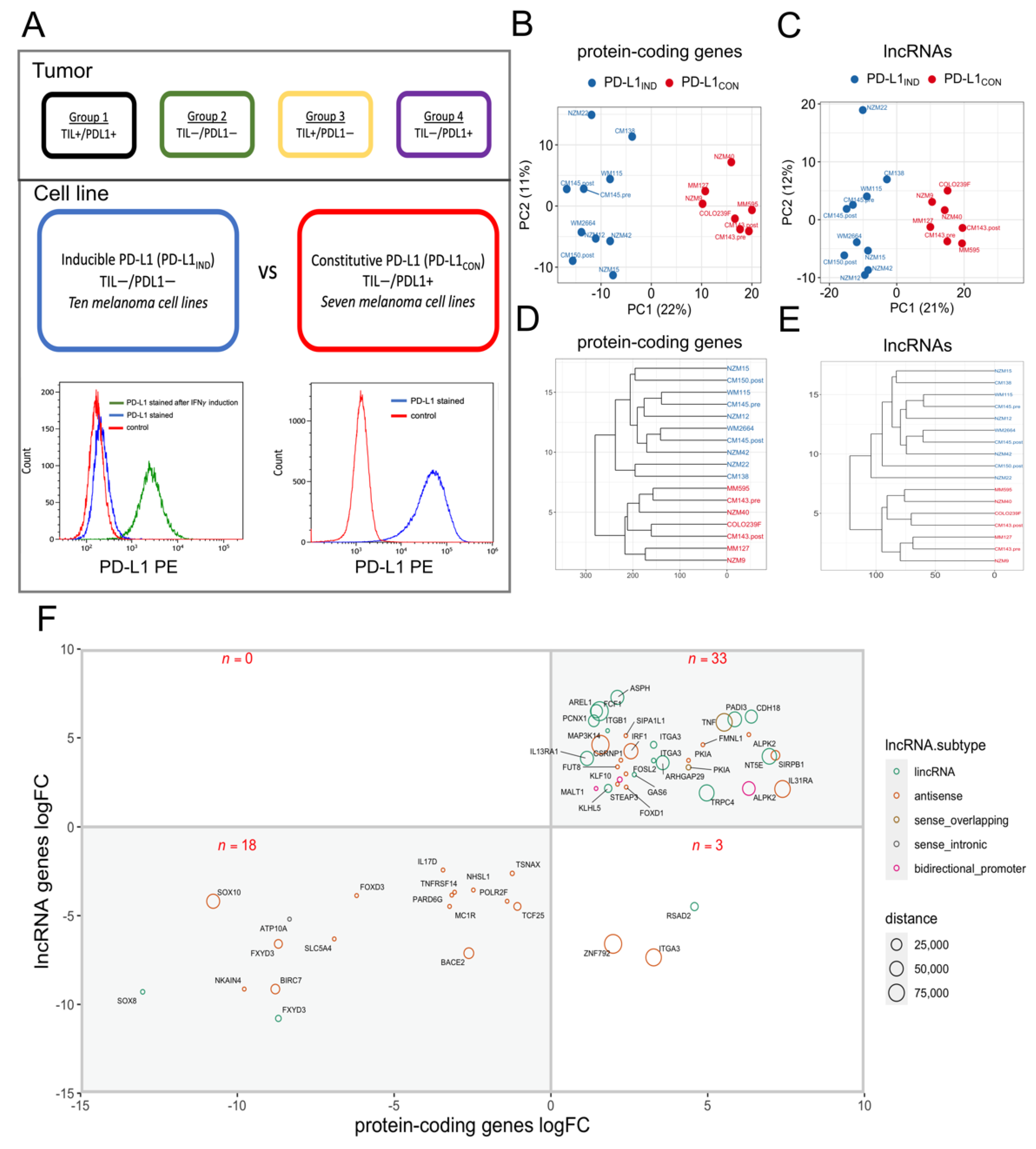 Cancers 13 04250 g001