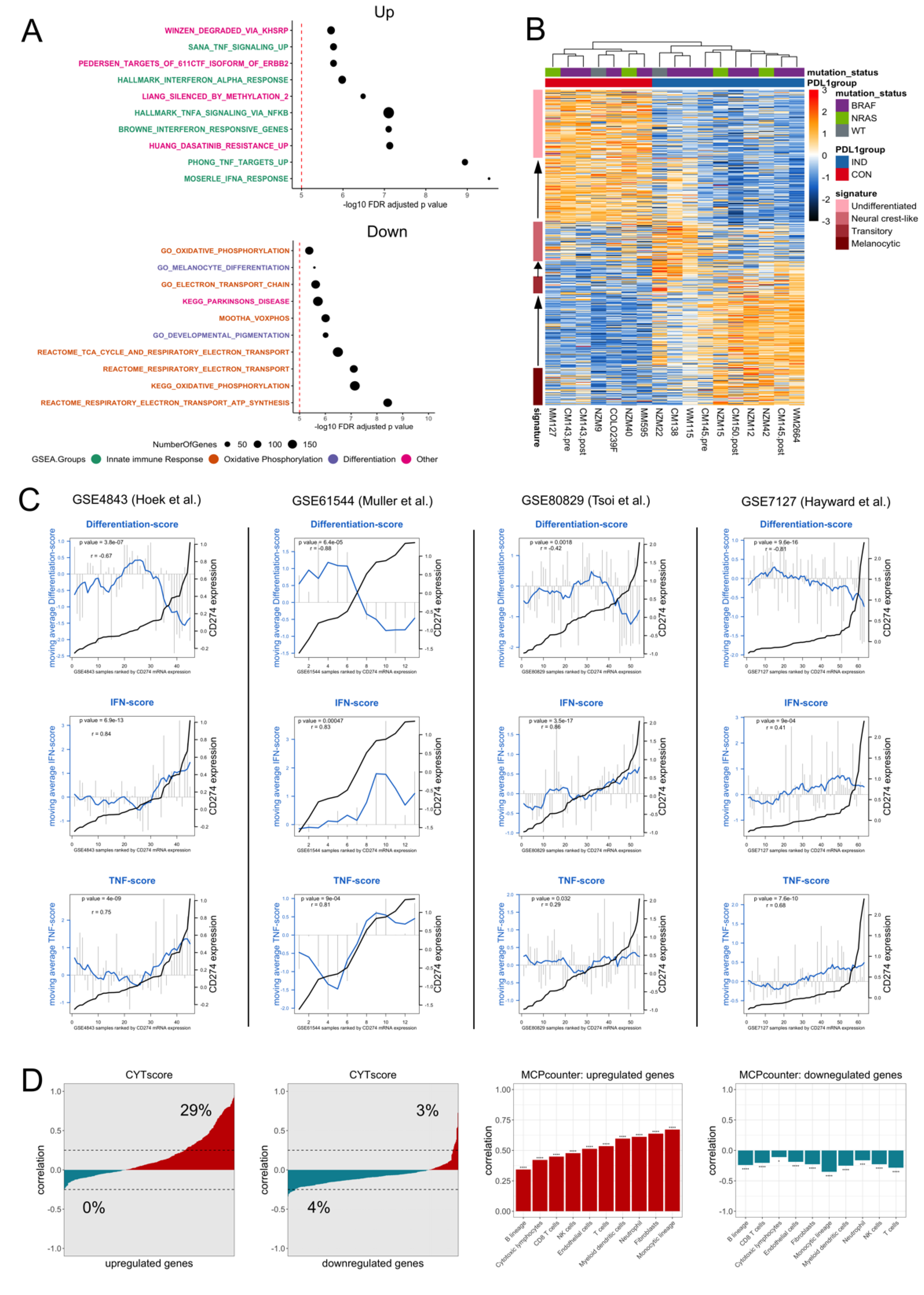 Cancers 13 04250 g002