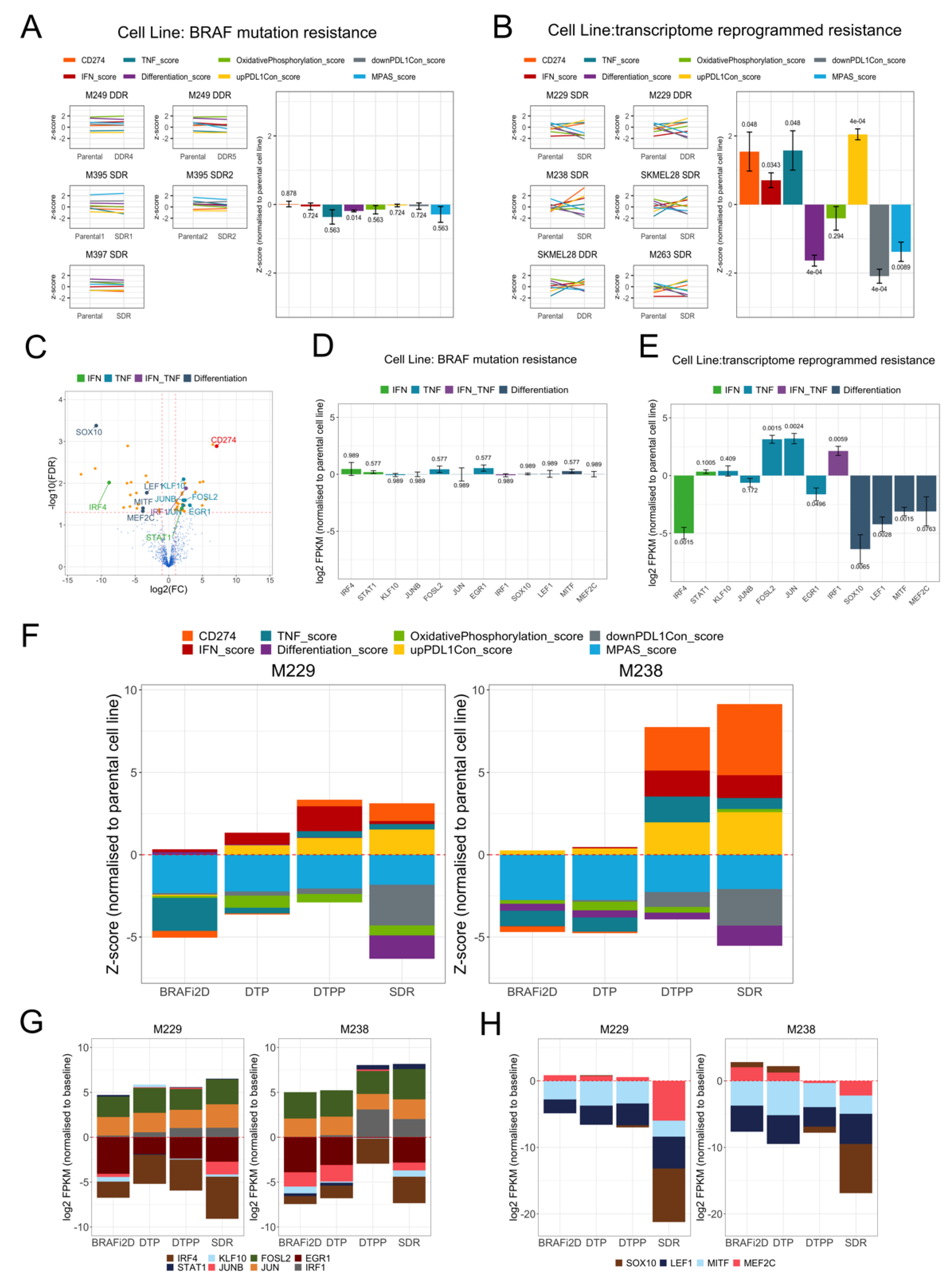 Cancers 13 04250 g005