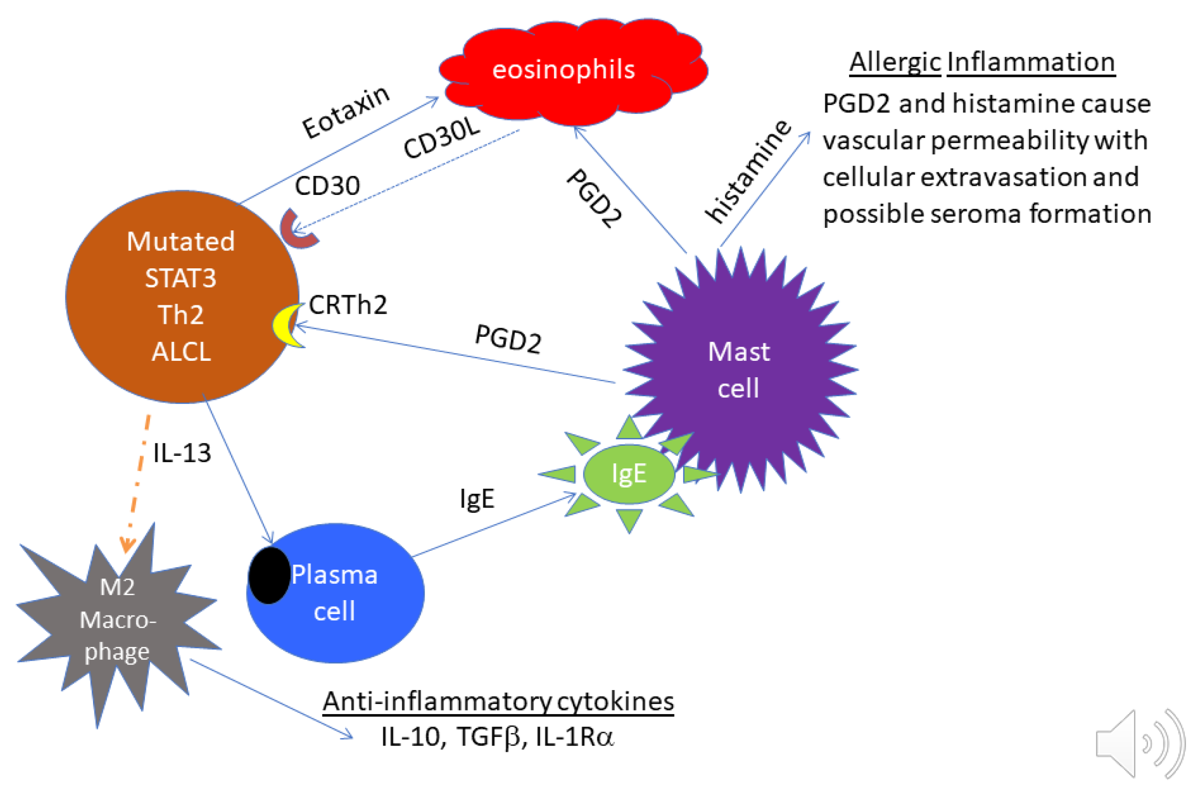Cancers 13 04256 g003