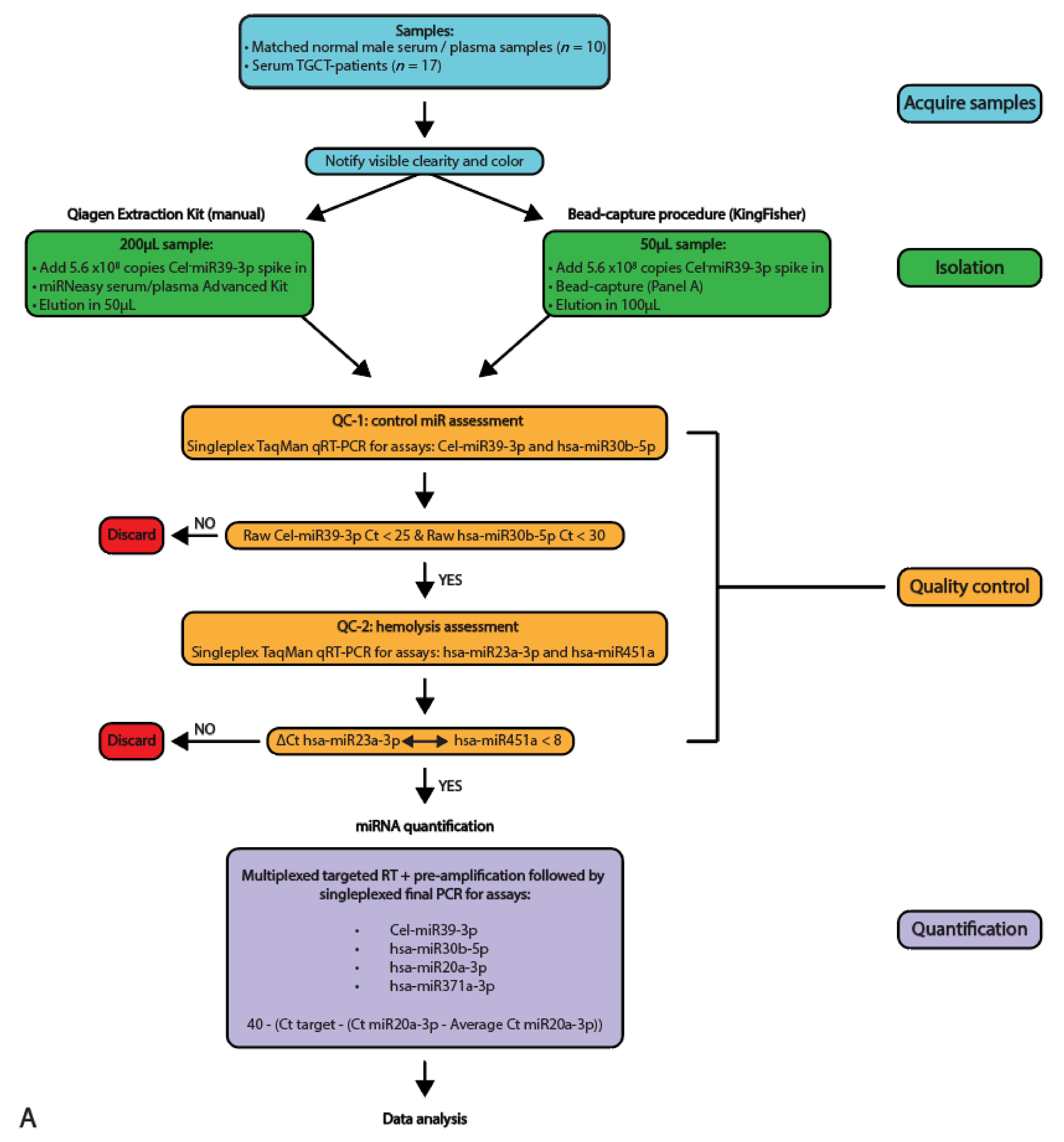 Cancers 13 04260 g001a