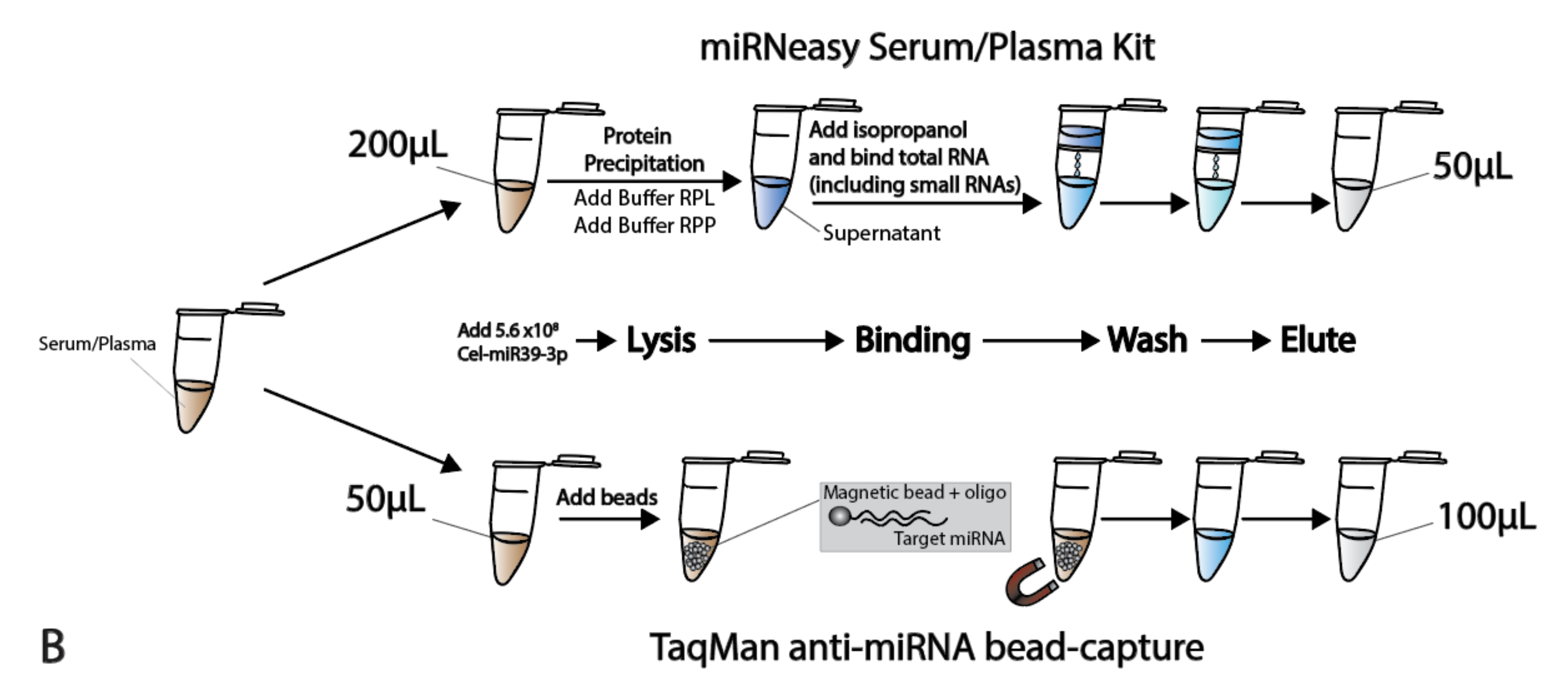 Cancers 13 04260 g001b