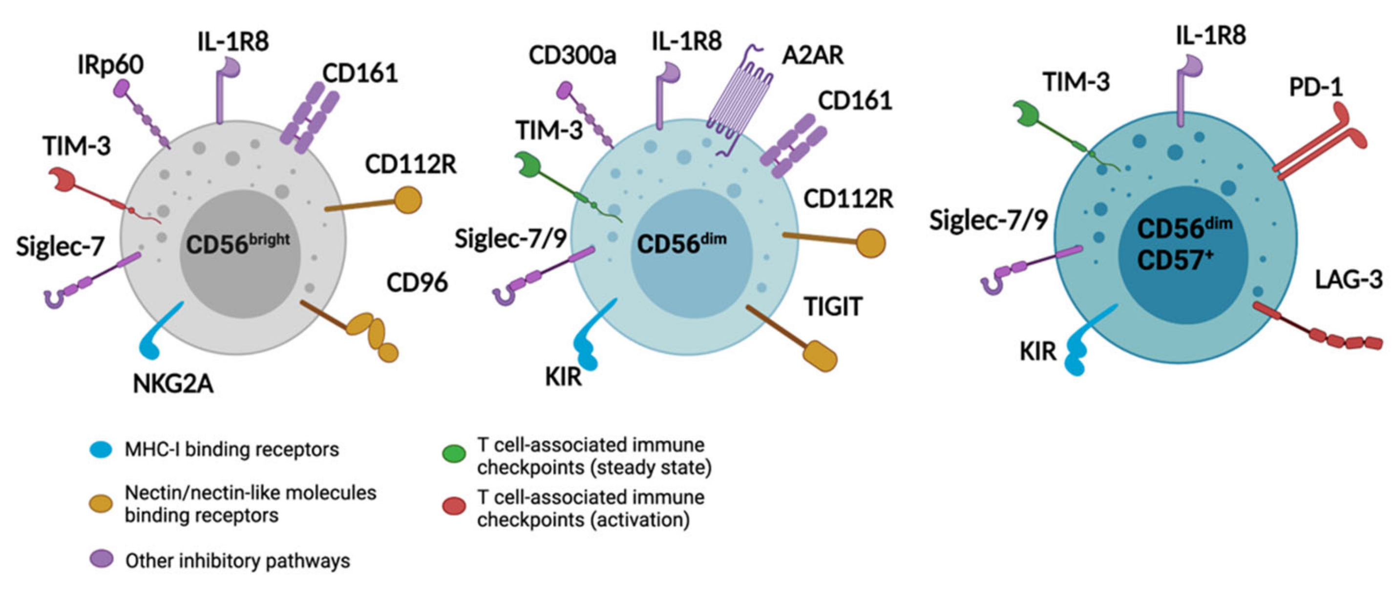 Cancers 13 04263 g001 Cancers 13 04263 g001