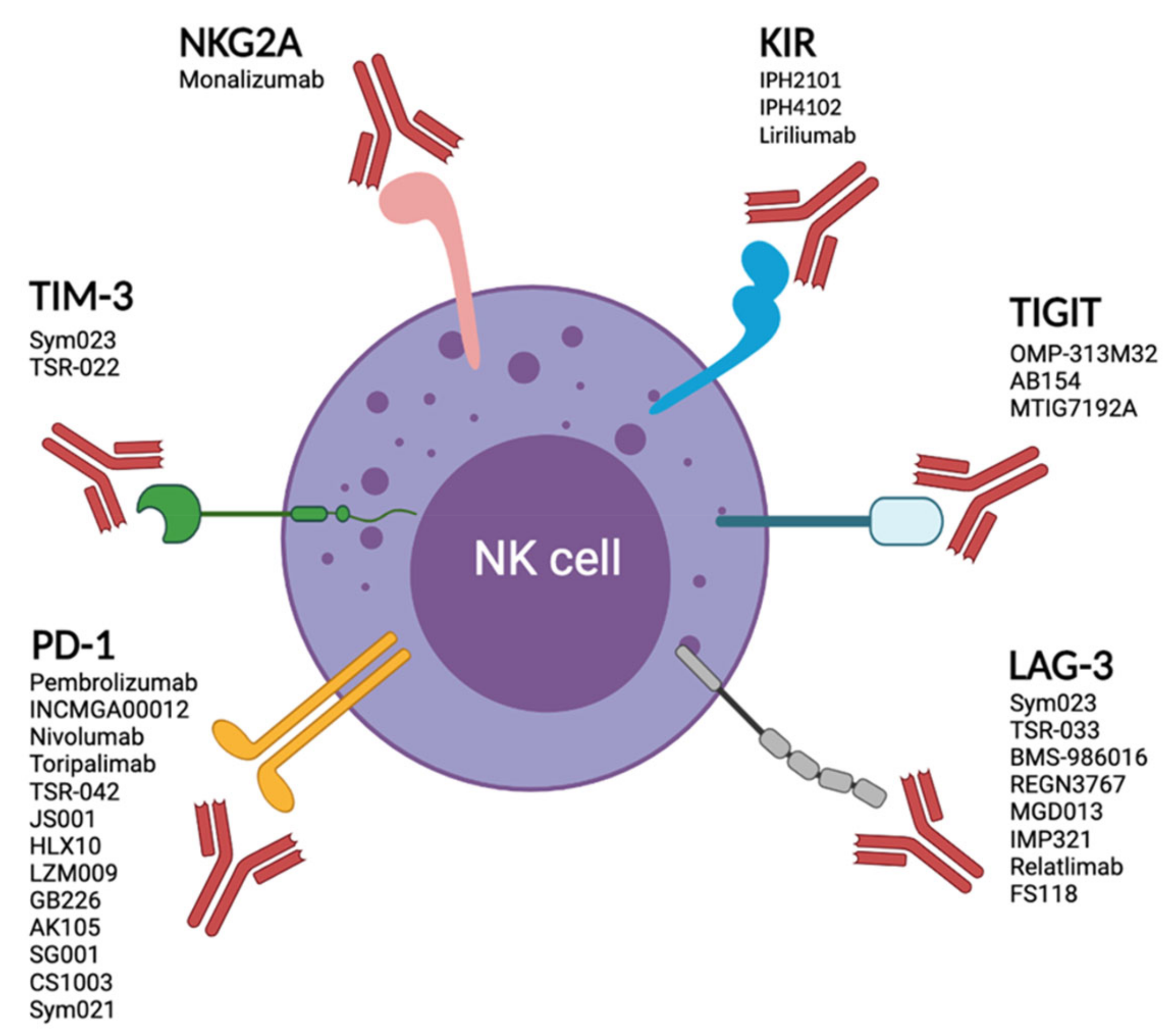 Cancers 13 04263 g002 Cancers 13 04263 g002