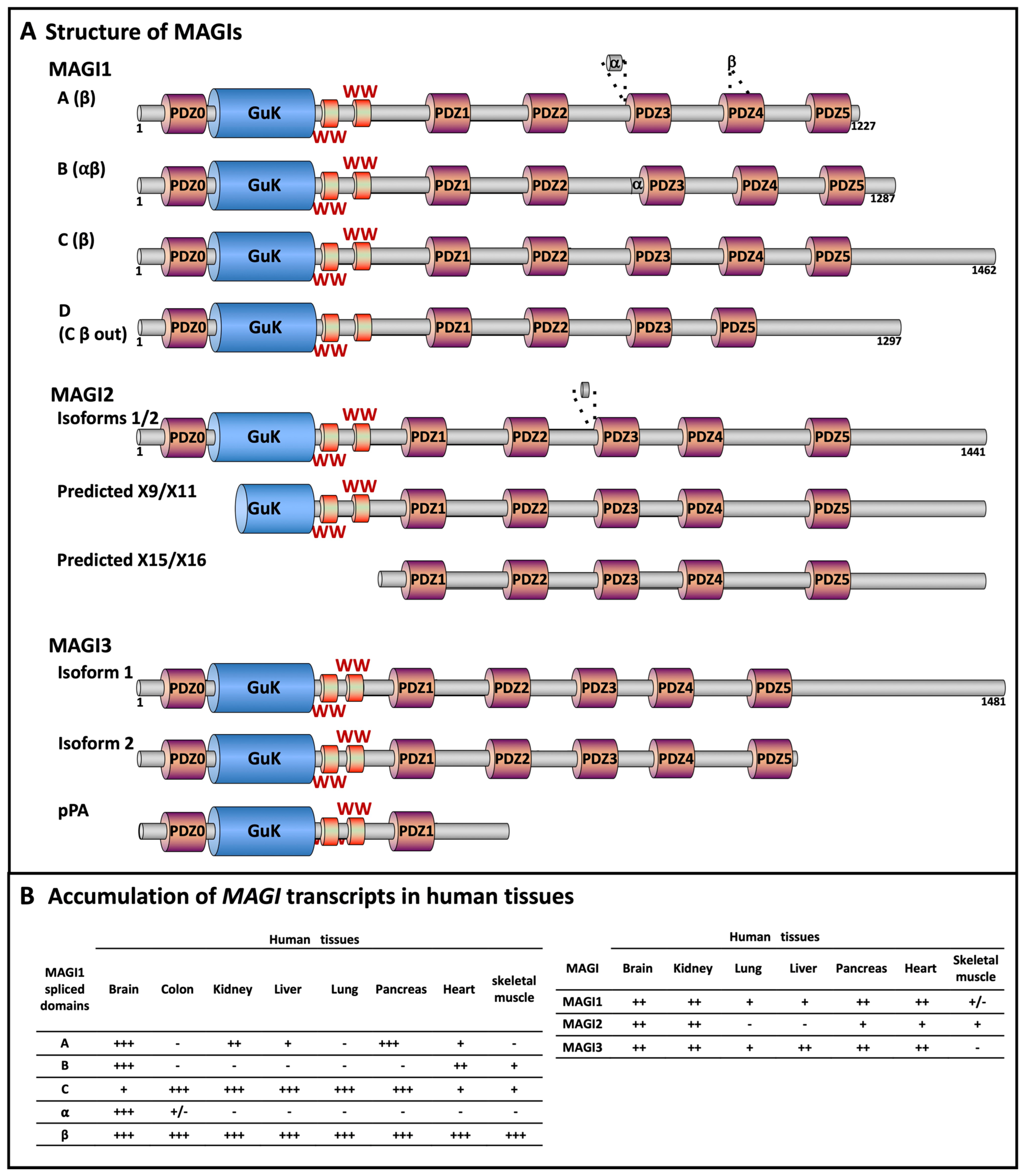 Cancers 13 04264 g001 Cancers 13 04264 g001