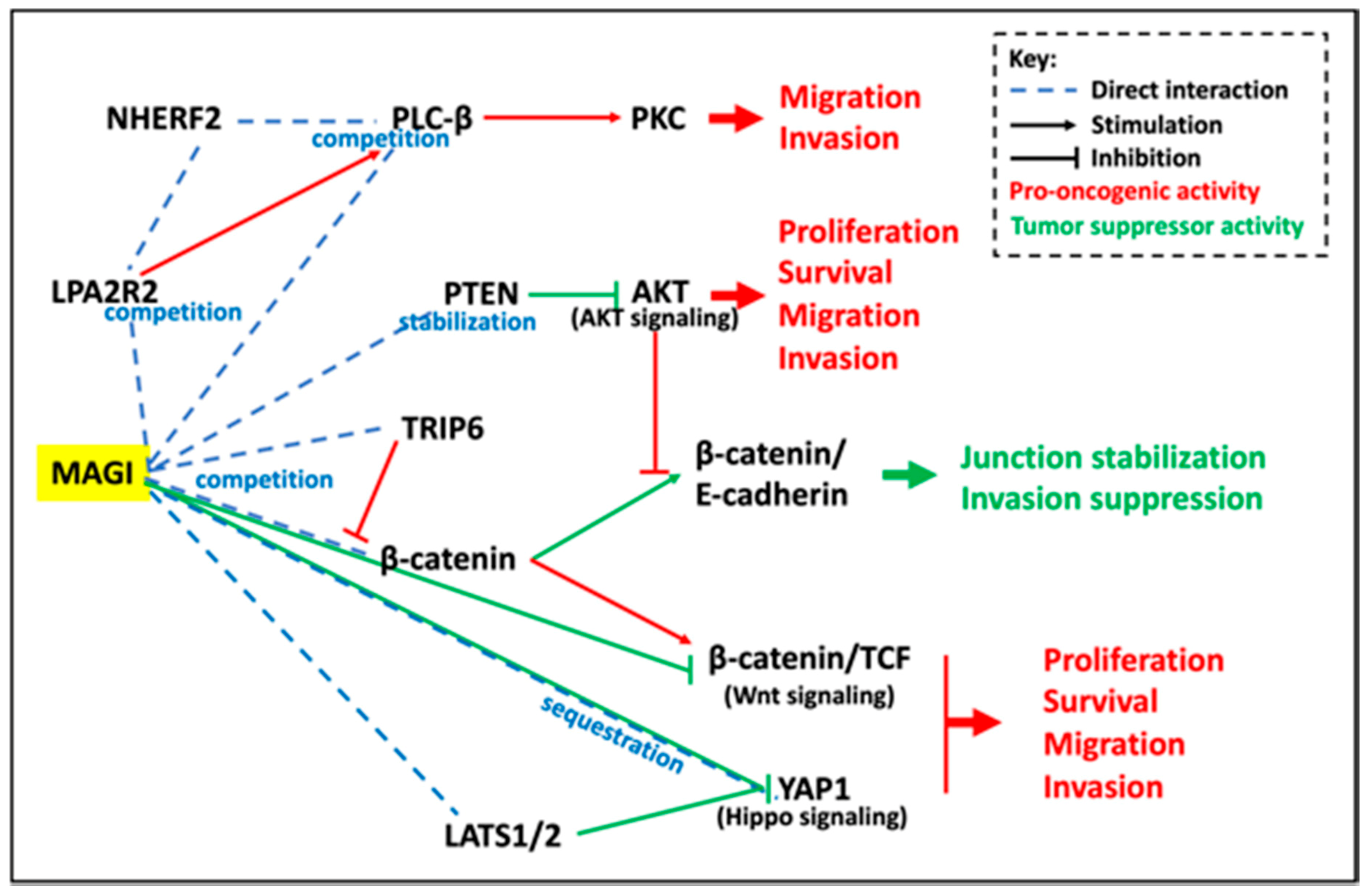 Cancers 13 04264 g003 Cancers 13 04264 g003