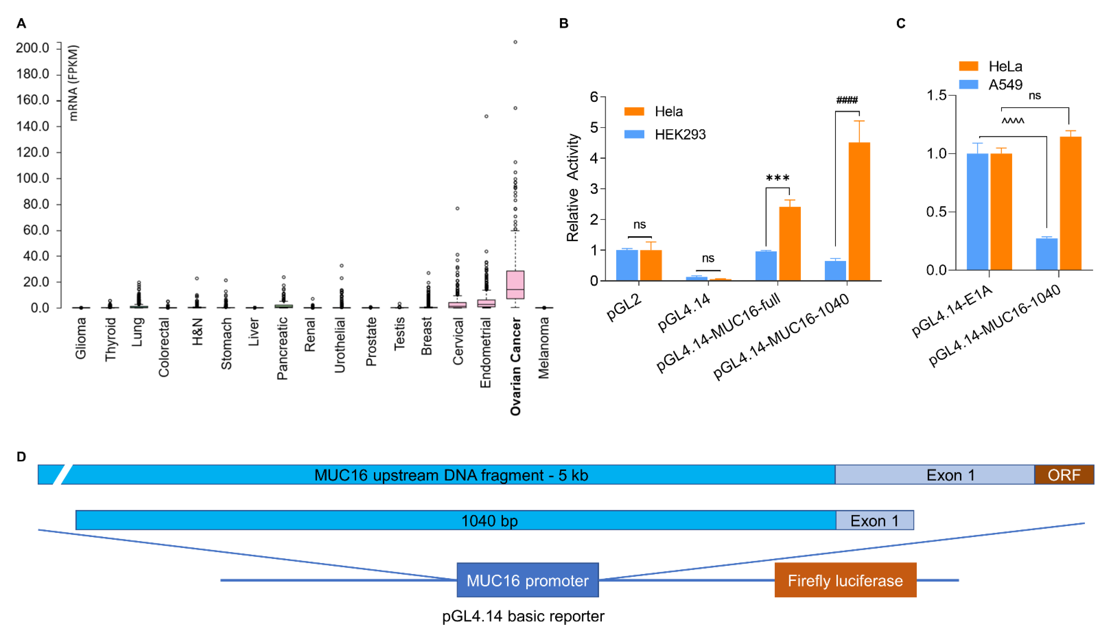 Cancers 13 04265 g001