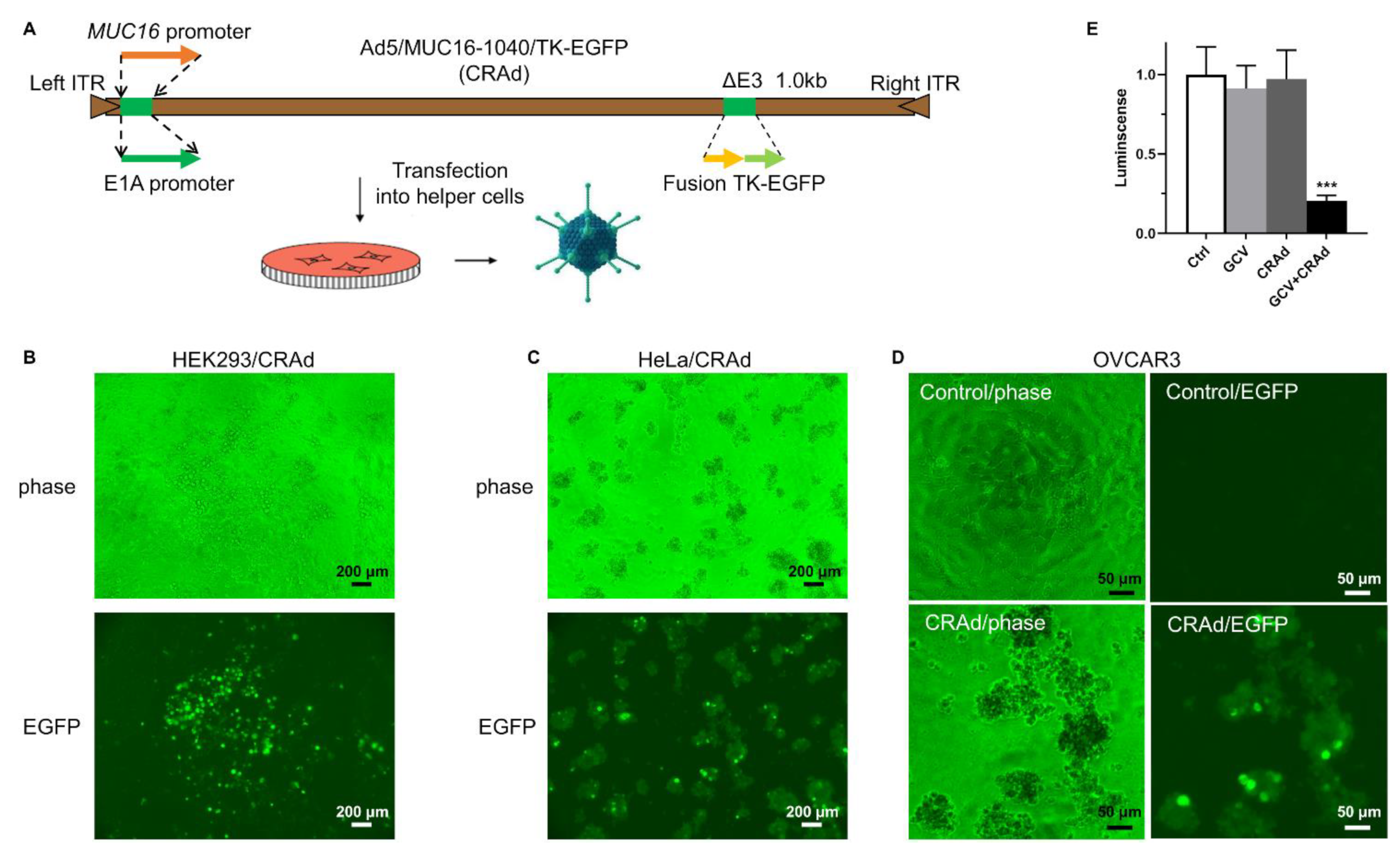 Cancers 13 04265 g002