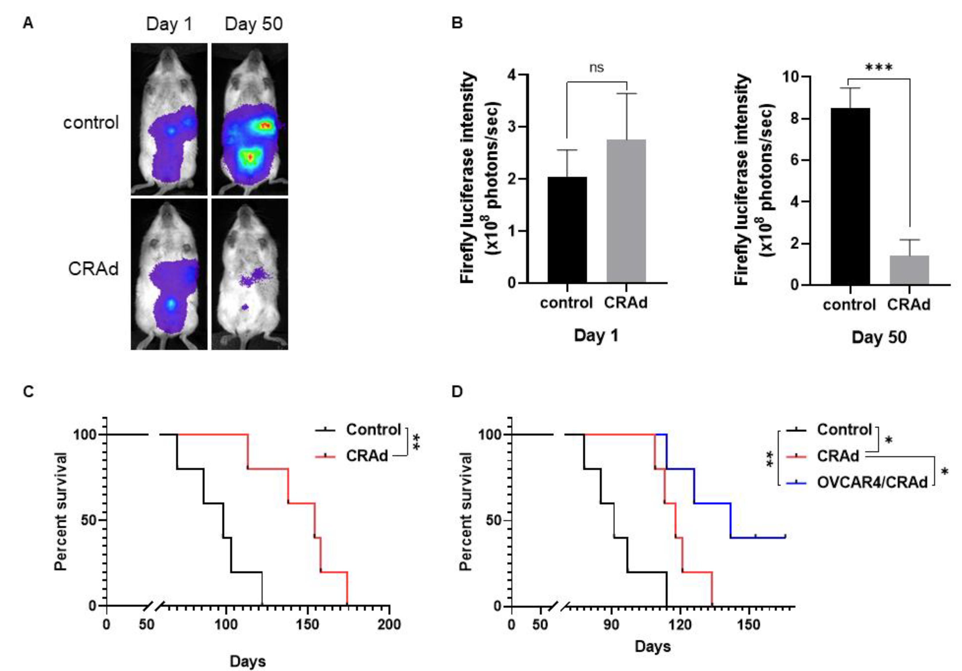 Cancers 13 04265 g005