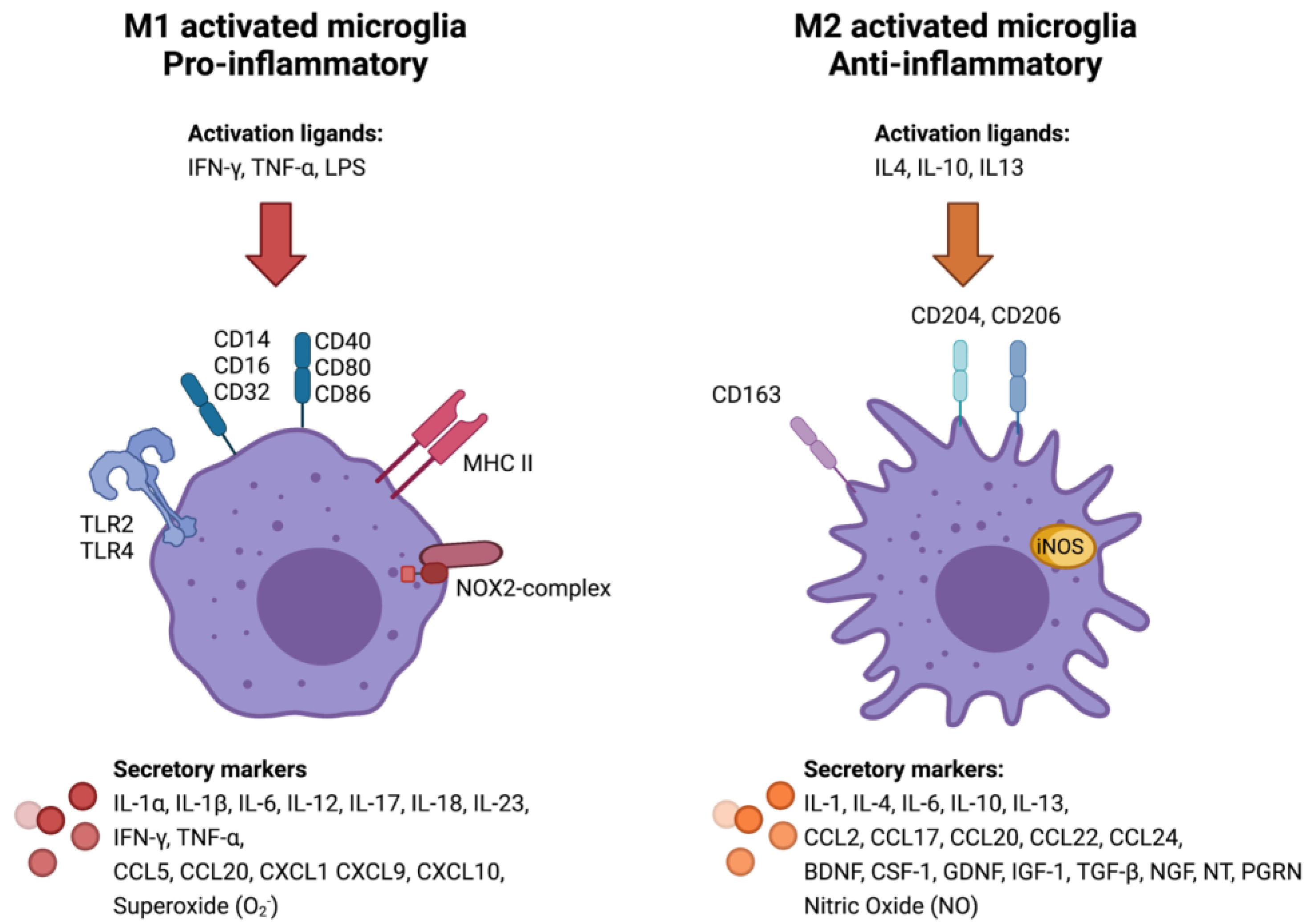 Cancers 13 04267 g001