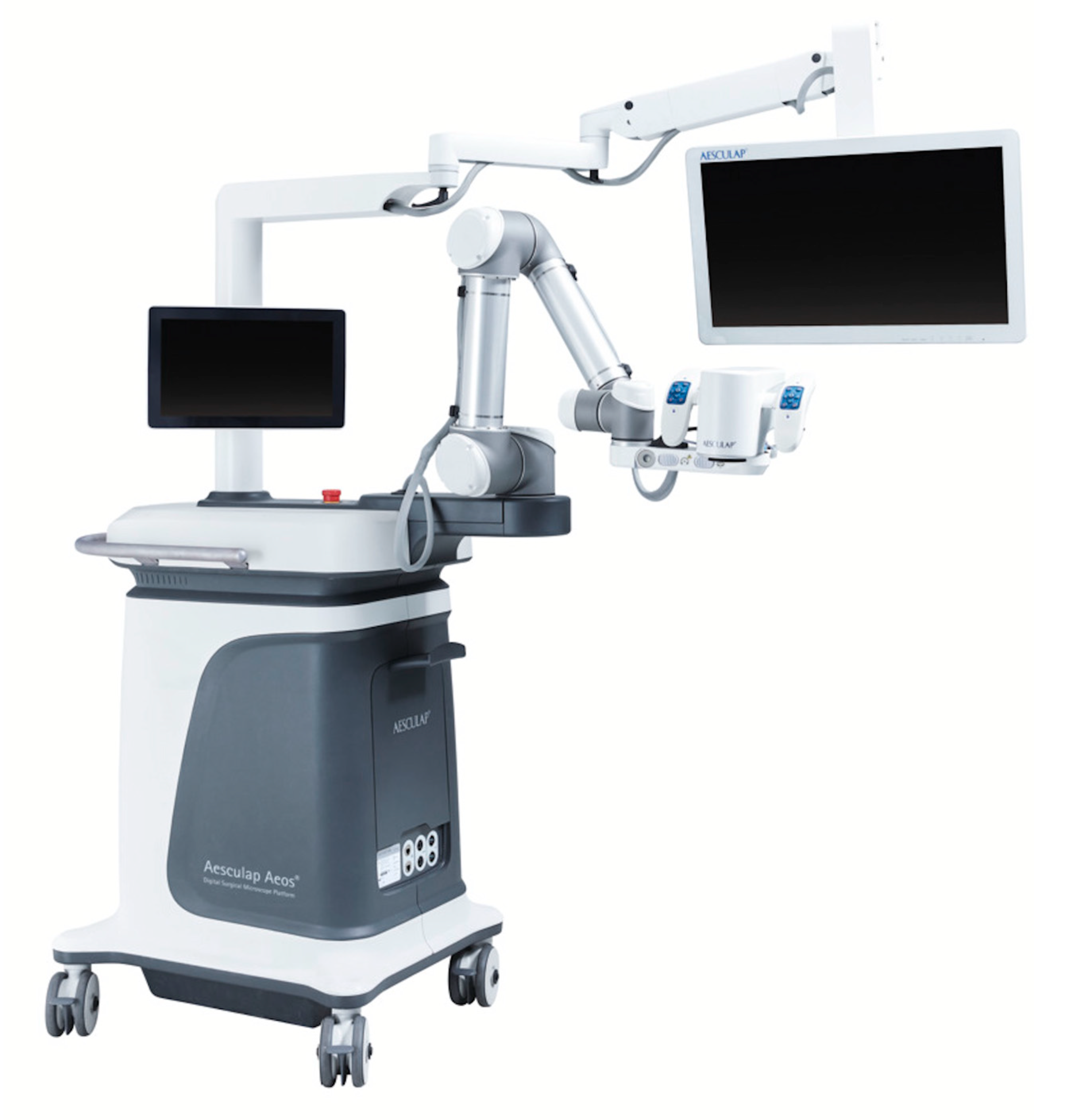 Cancers 13 04273 g002 550