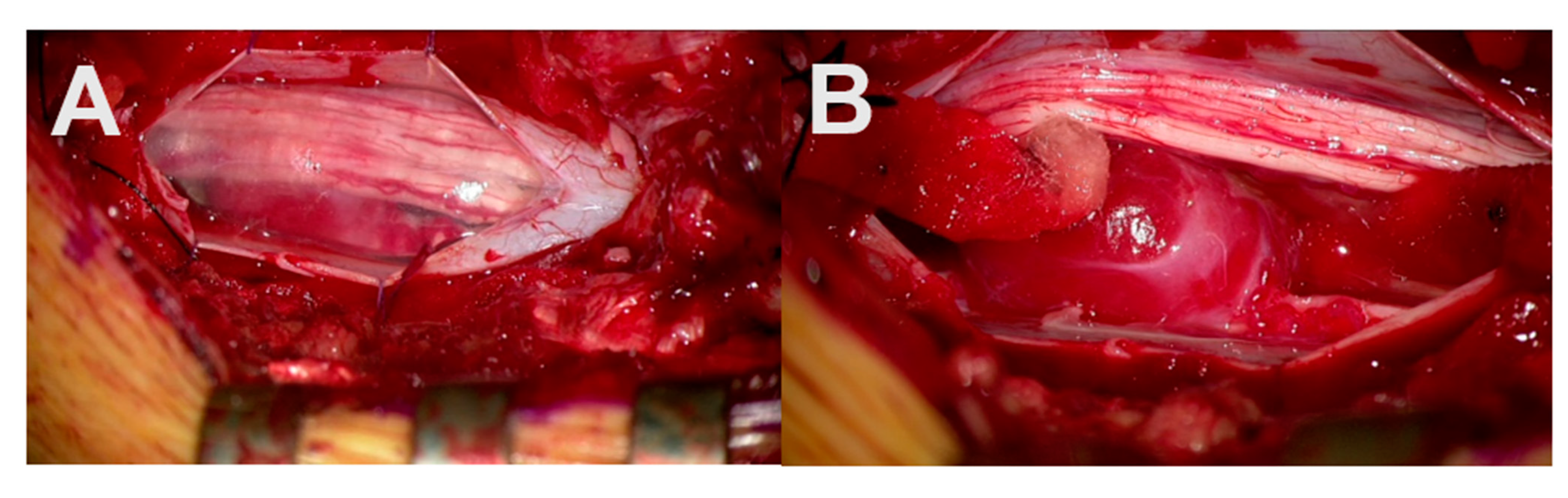 Cancers 13 04273 g006 550