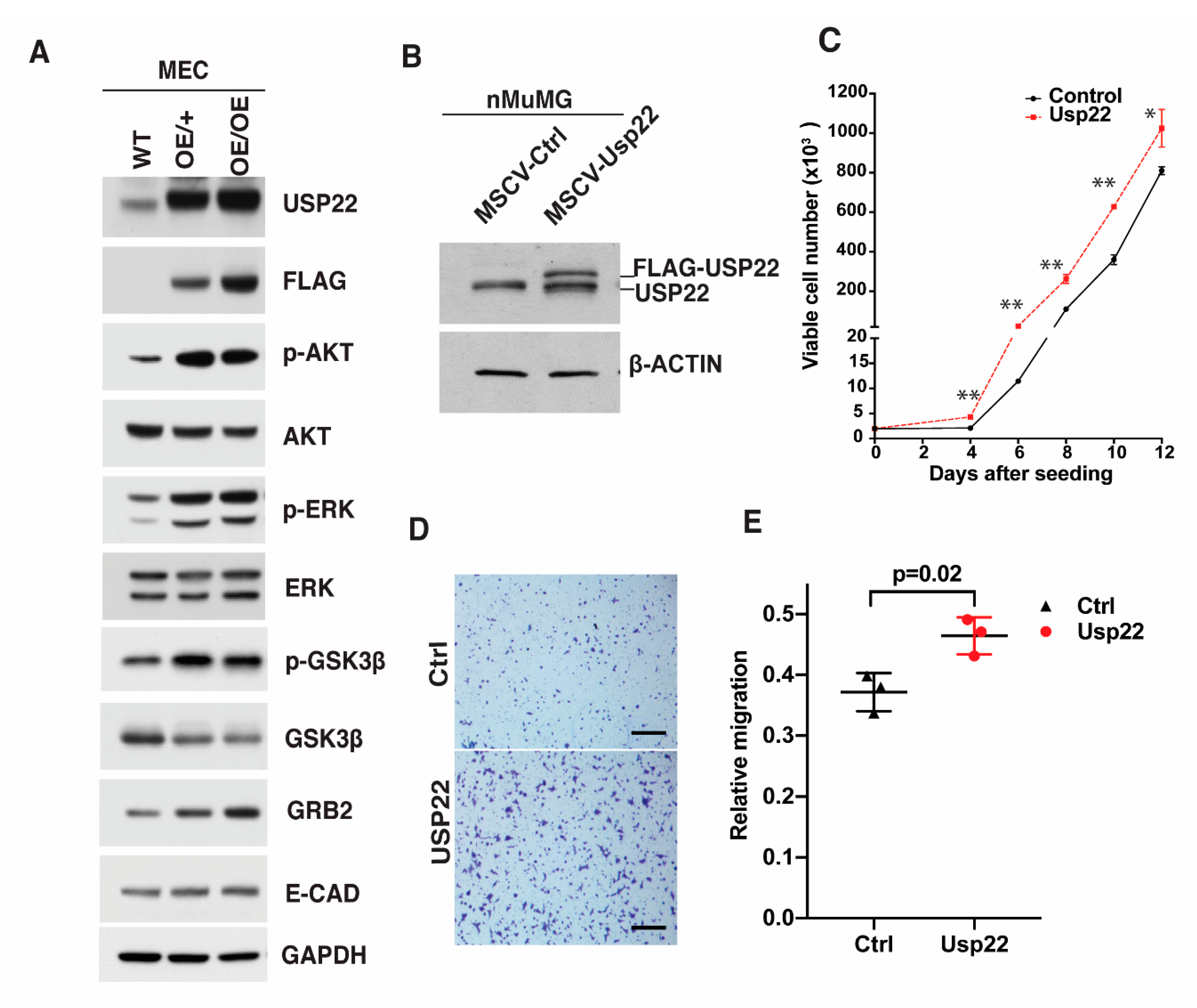 Cancers 13 04276 g004