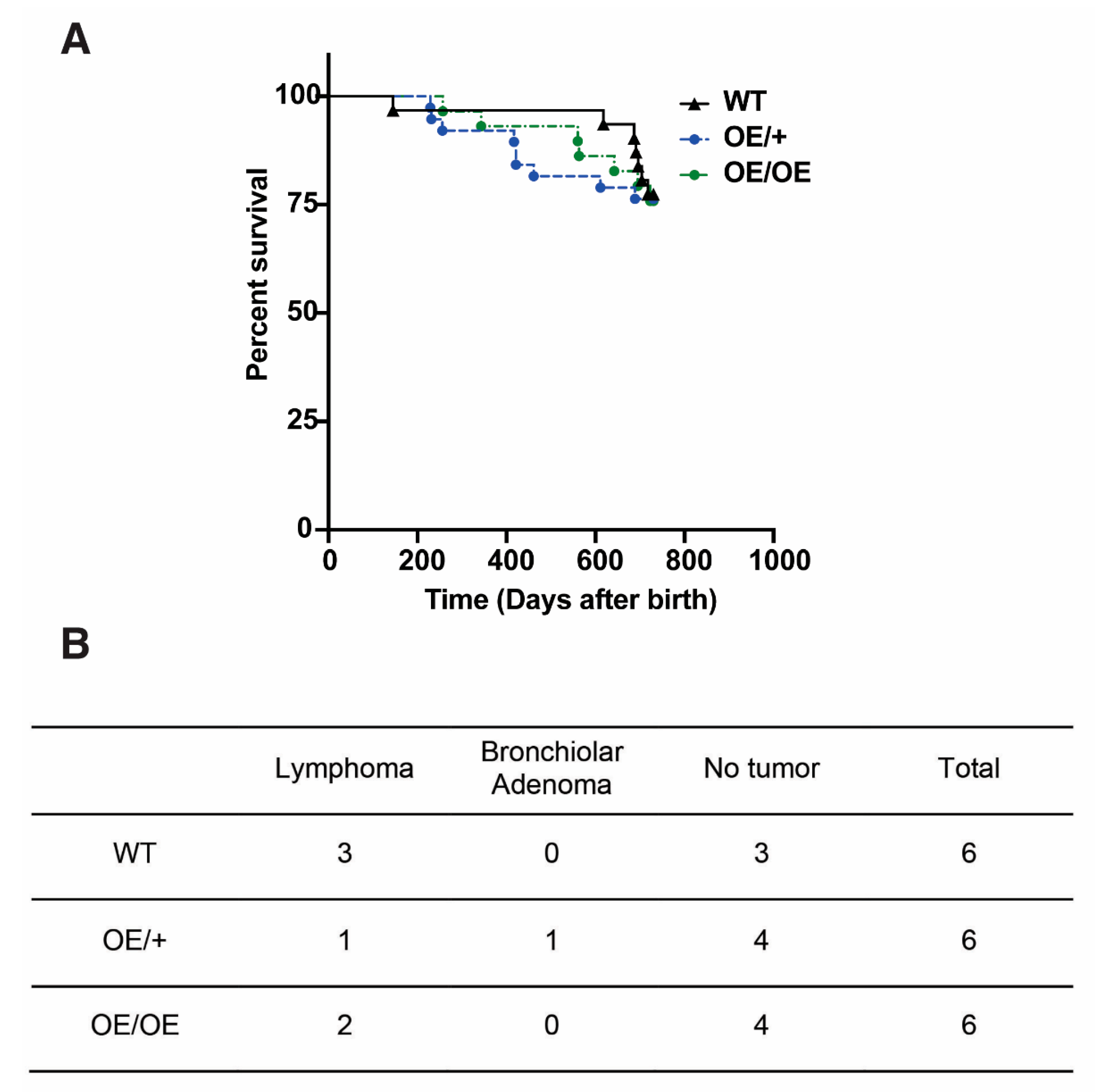 Cancers 13 04276 g005