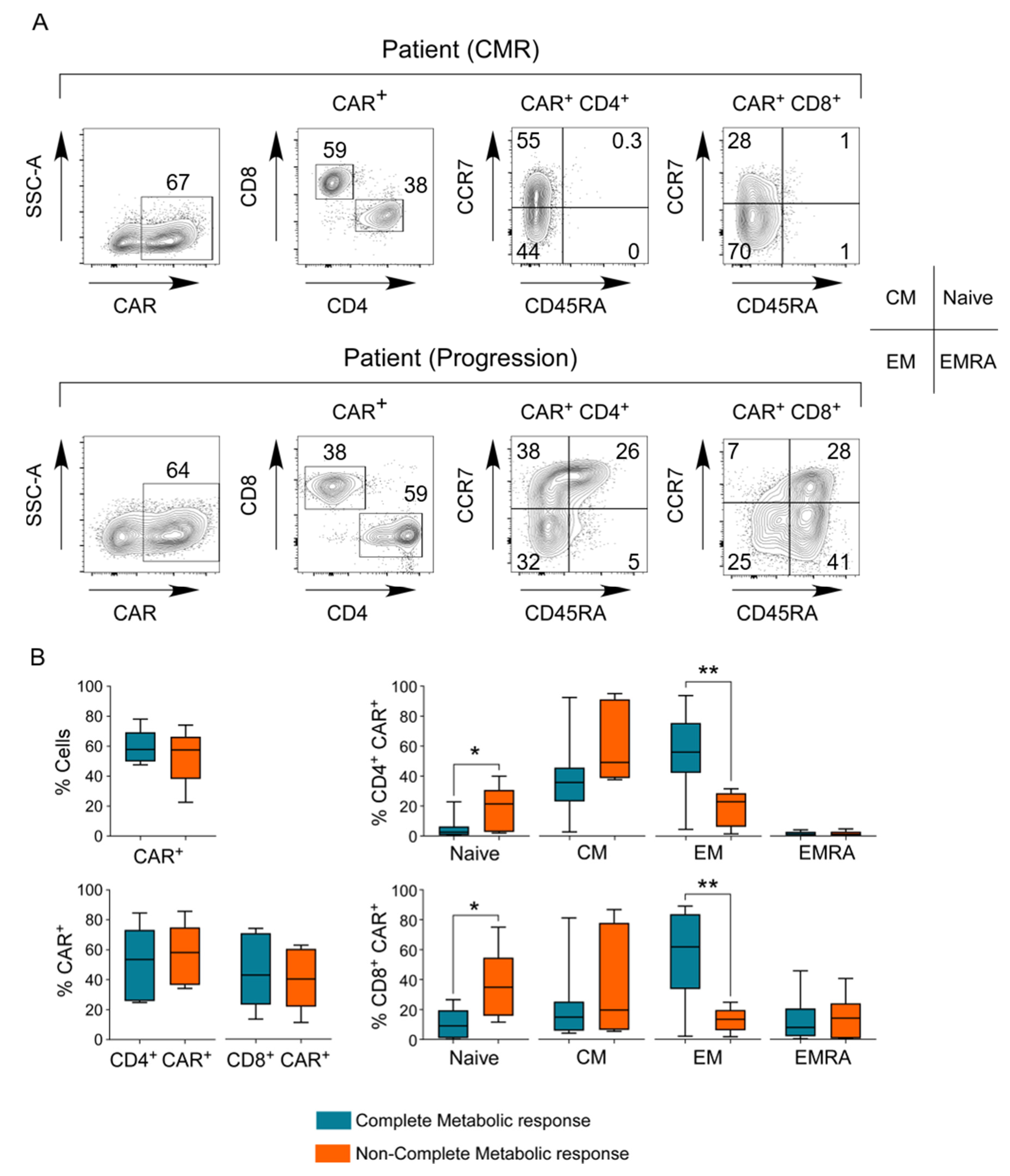 Cancers 13 04279 g003