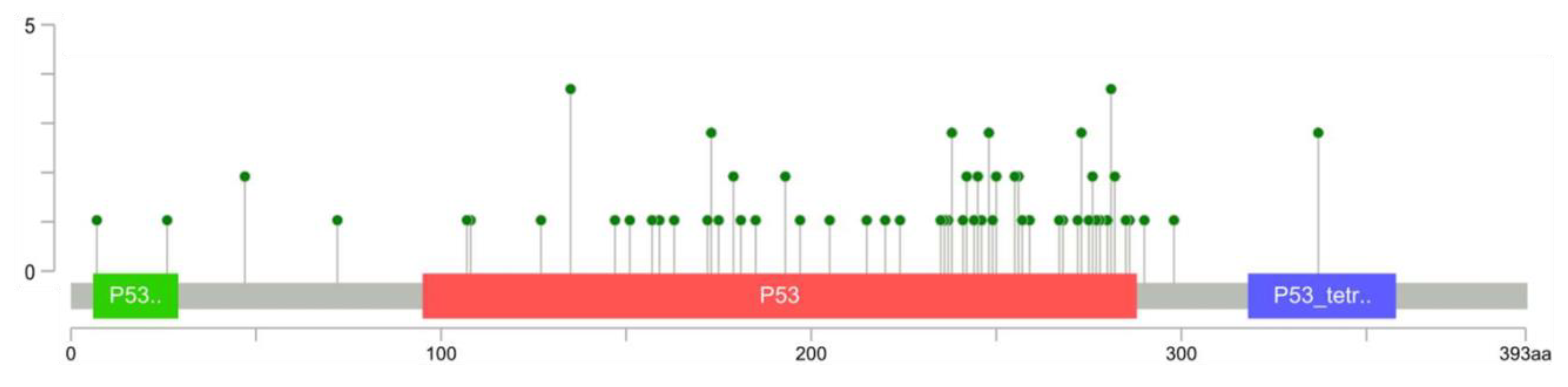 Cancers 13 04284 g002 Cancers 13 04284 g002