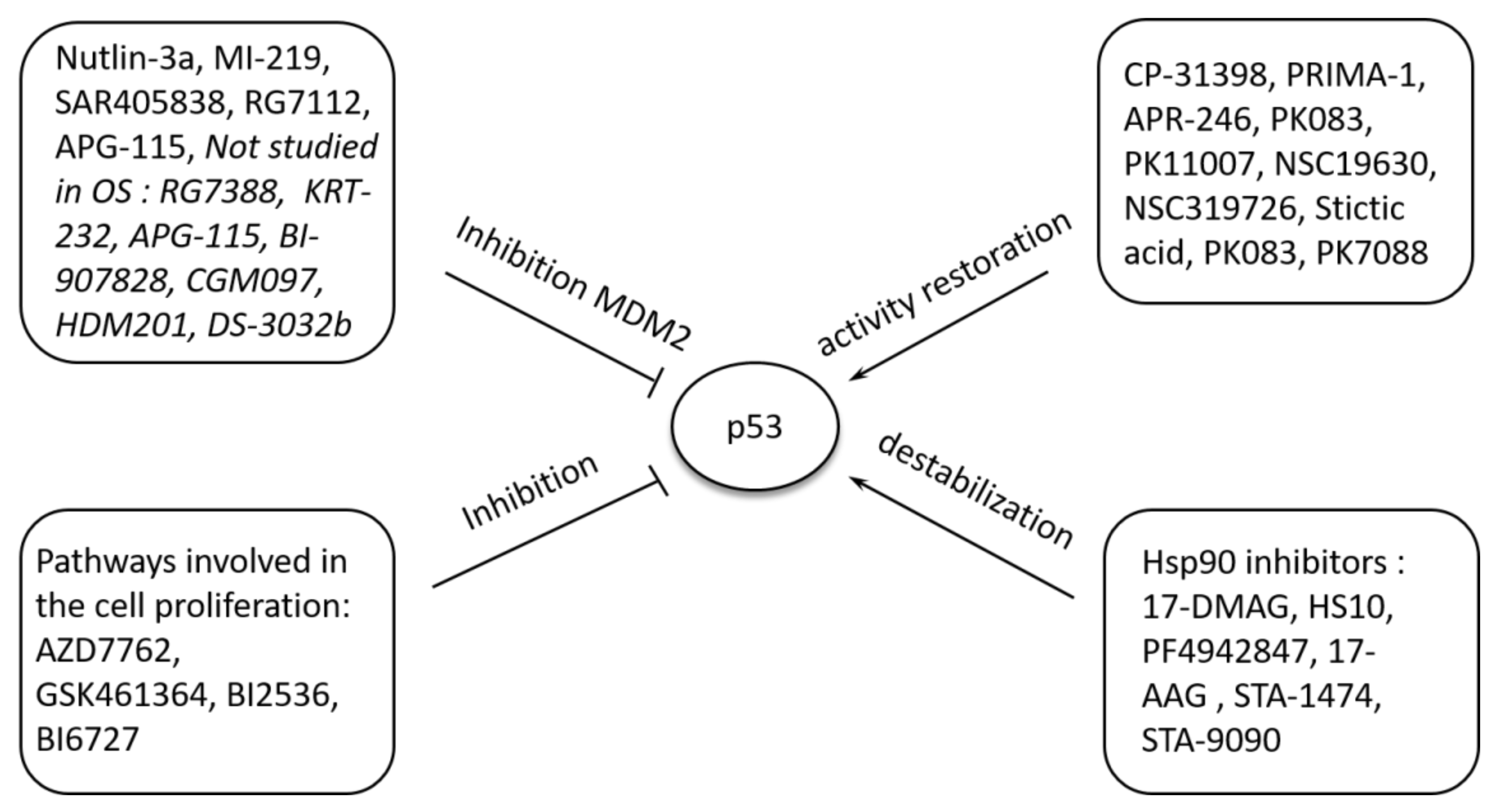 Cancers 13 04284 g003 Cancers 13 04284 g003