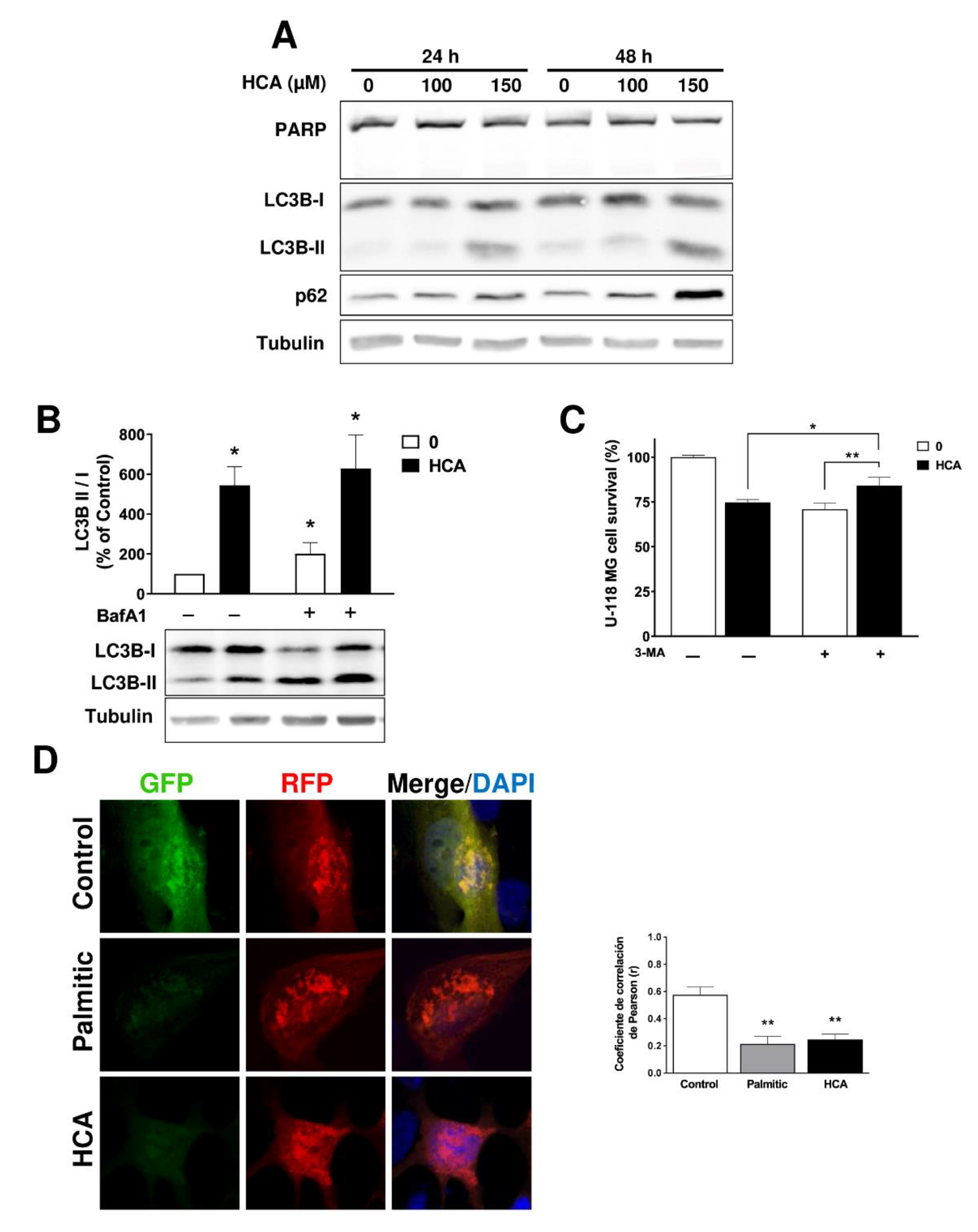 Cancers 13 04290 g003 550