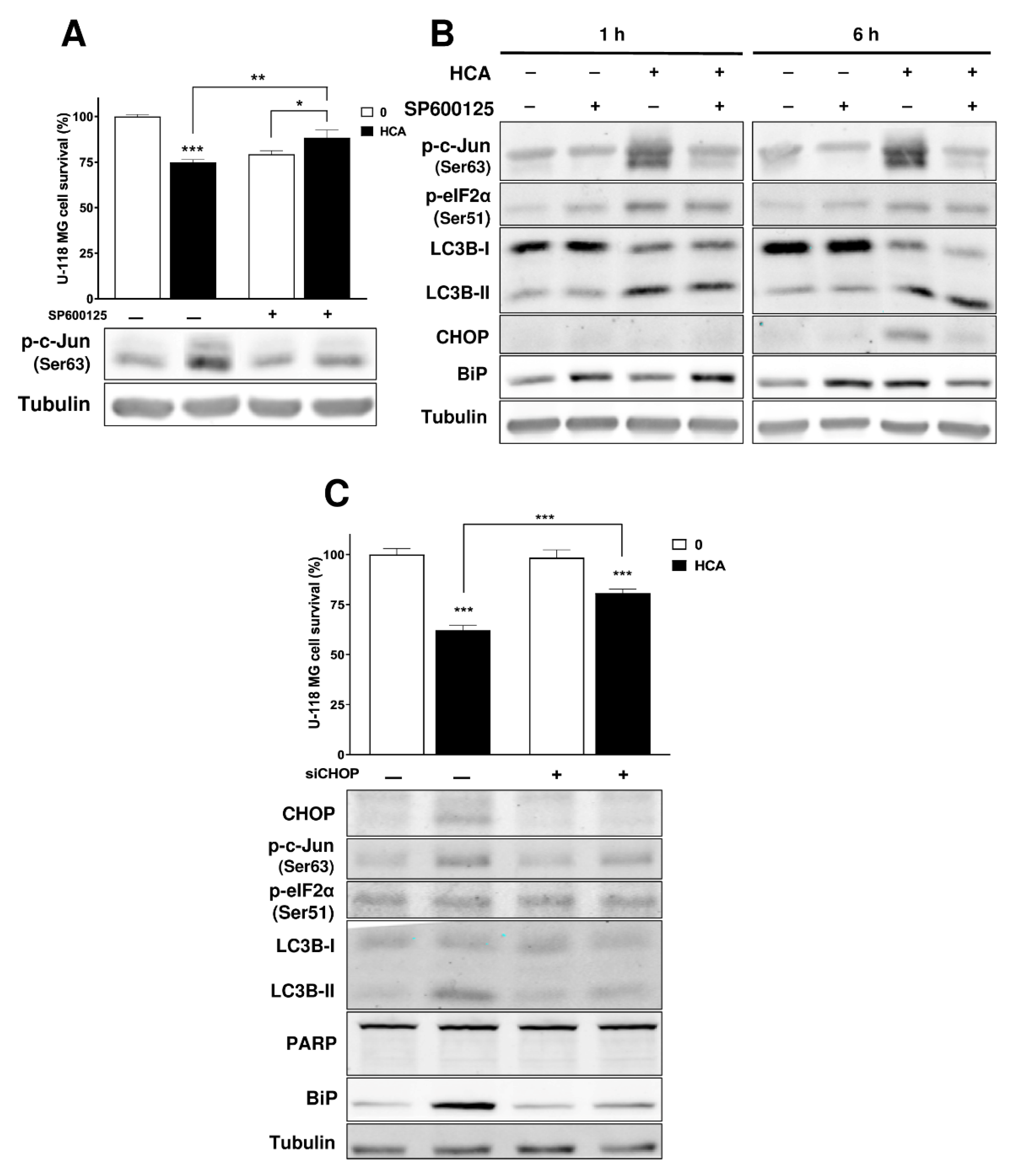 Cancers 13 04290 g004 550