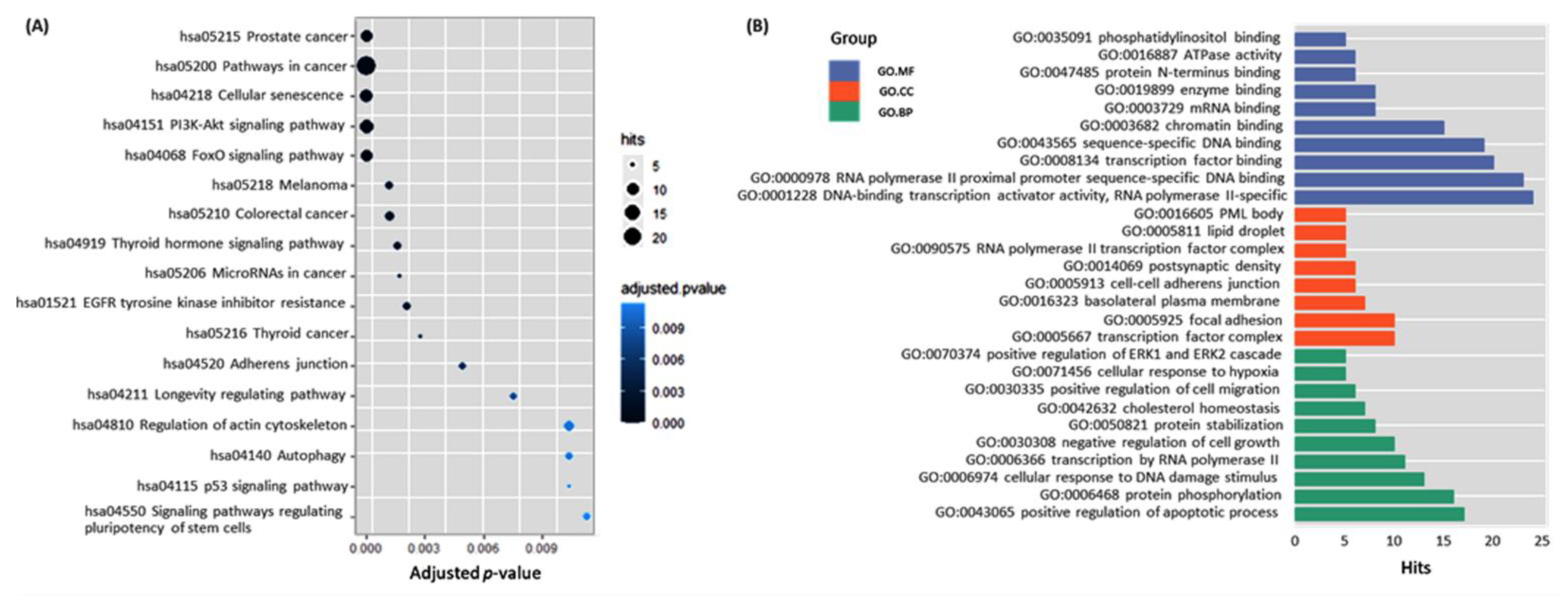 Cancers 13 04295 g007