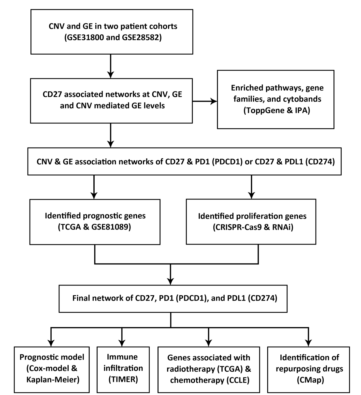 Cancers 13 04296 g001