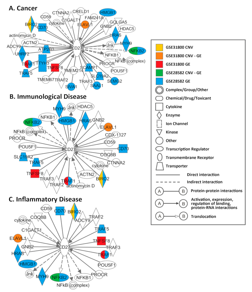 Cancers 13 04296 g003