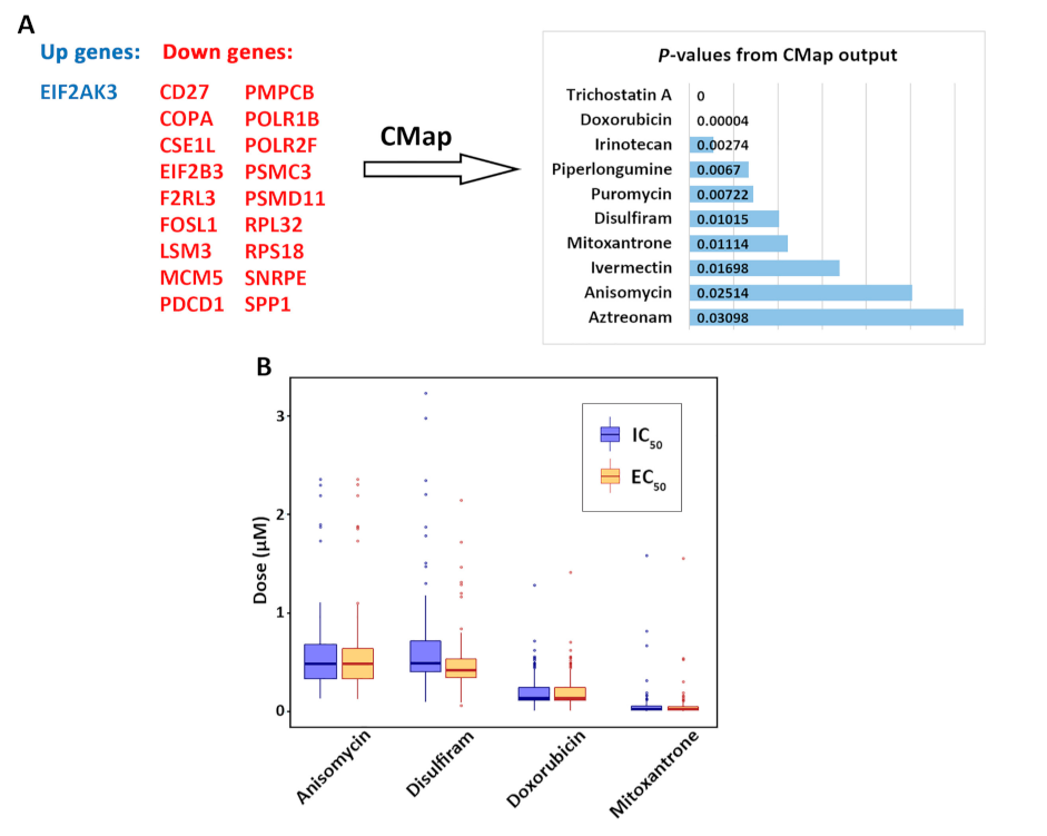 Cancers 13 04296 g006