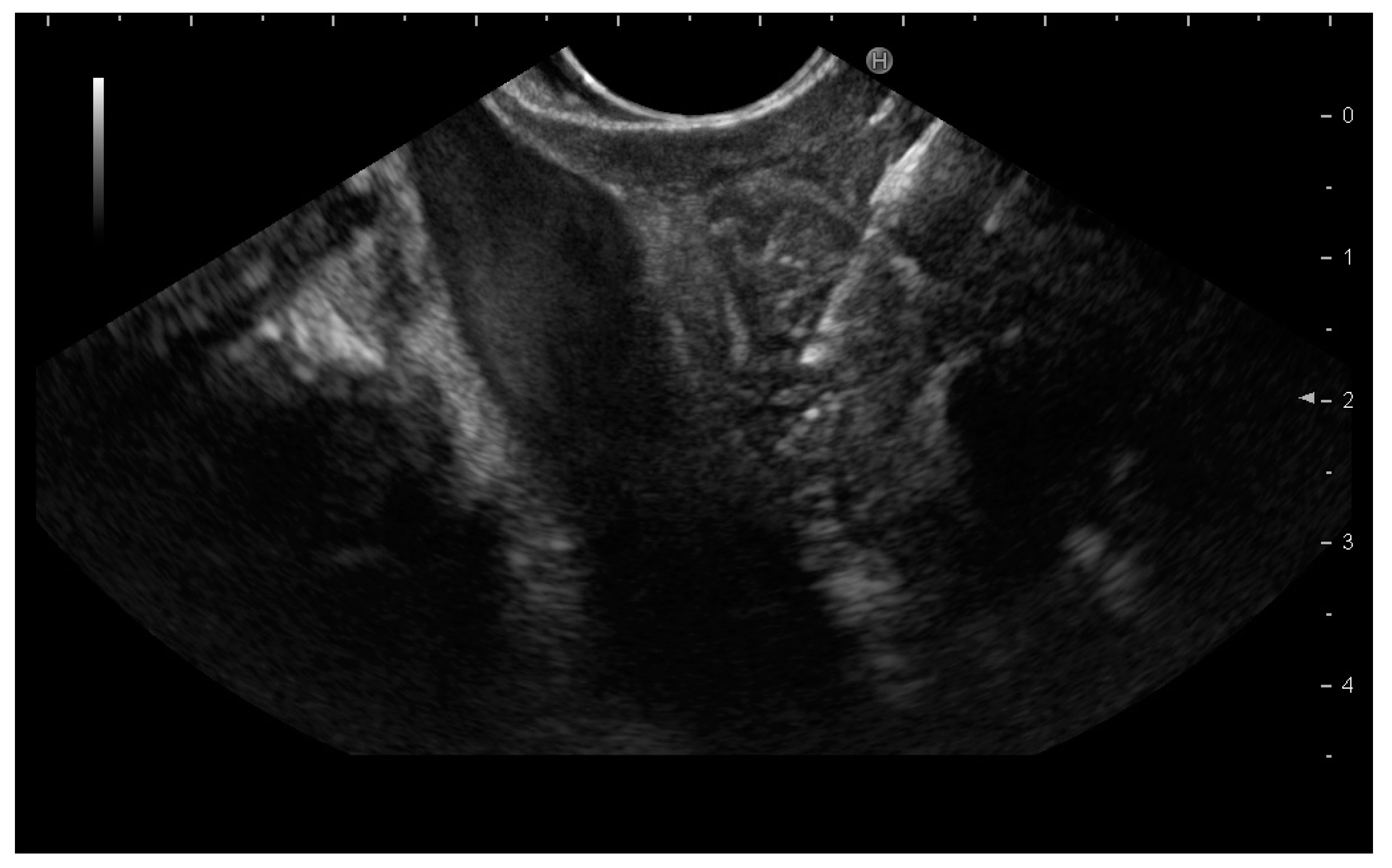 Cancers 13 04298 g002