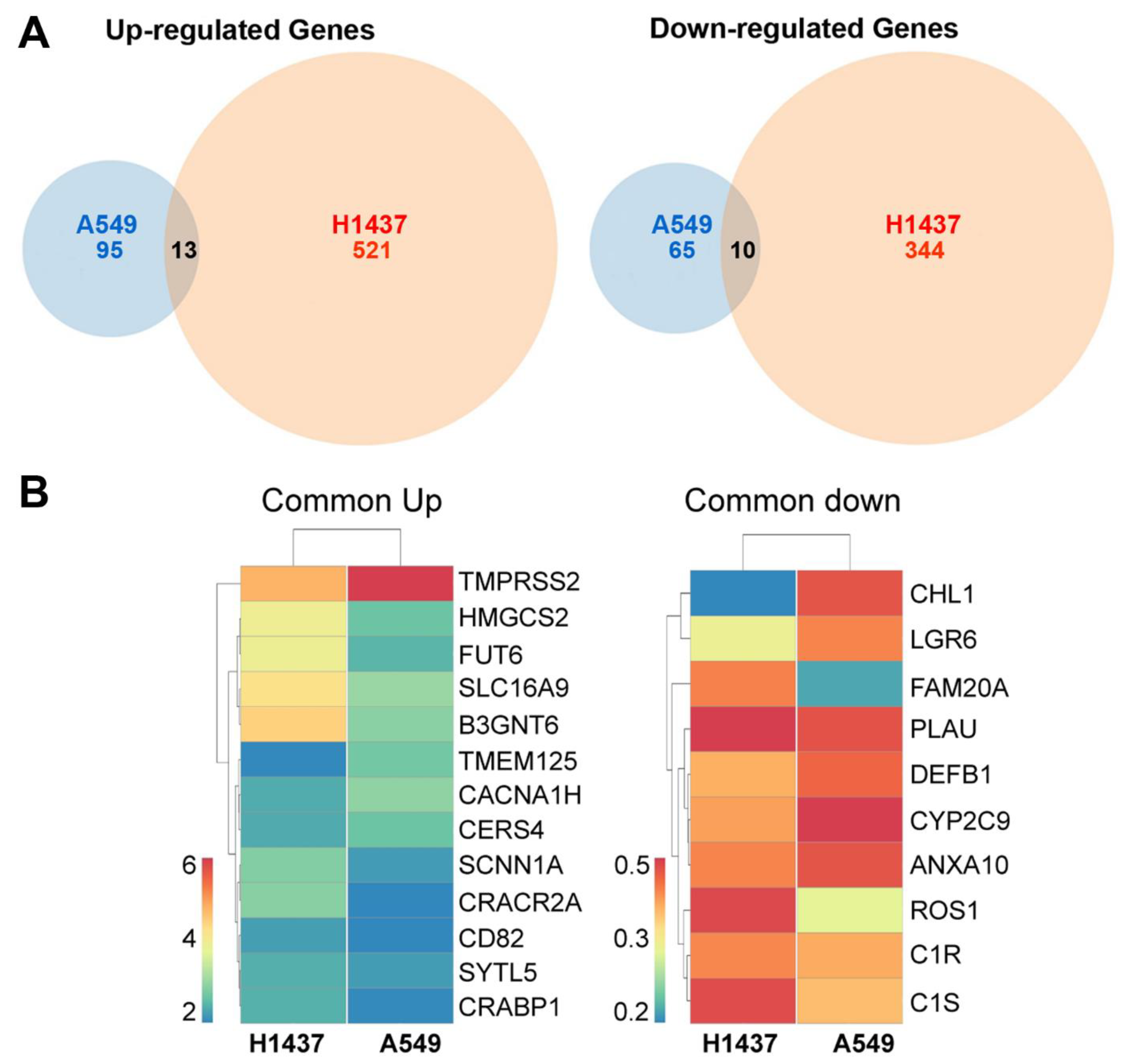 Cancers 13 04302 g002 550