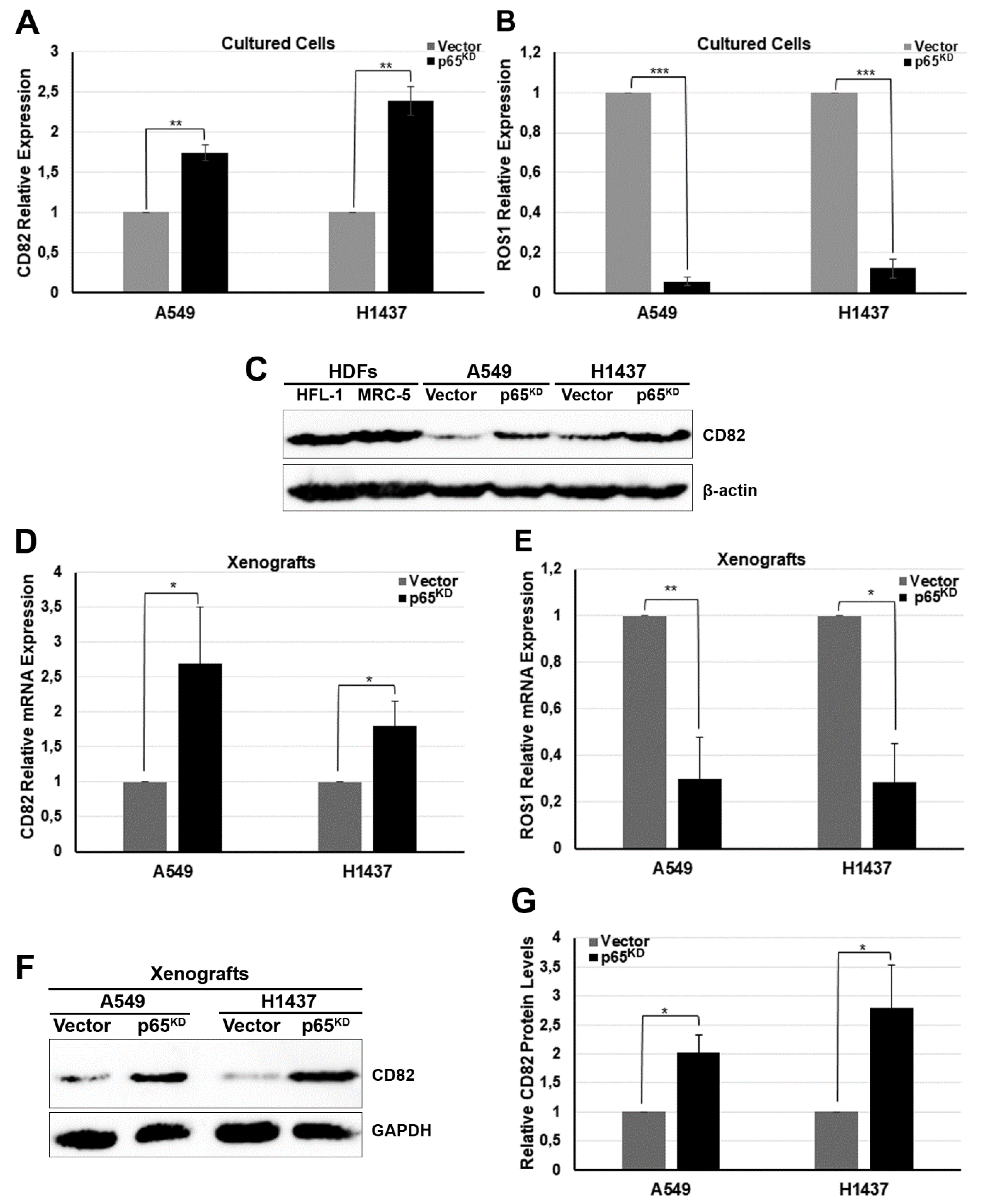 Cancers 13 04302 g003 550