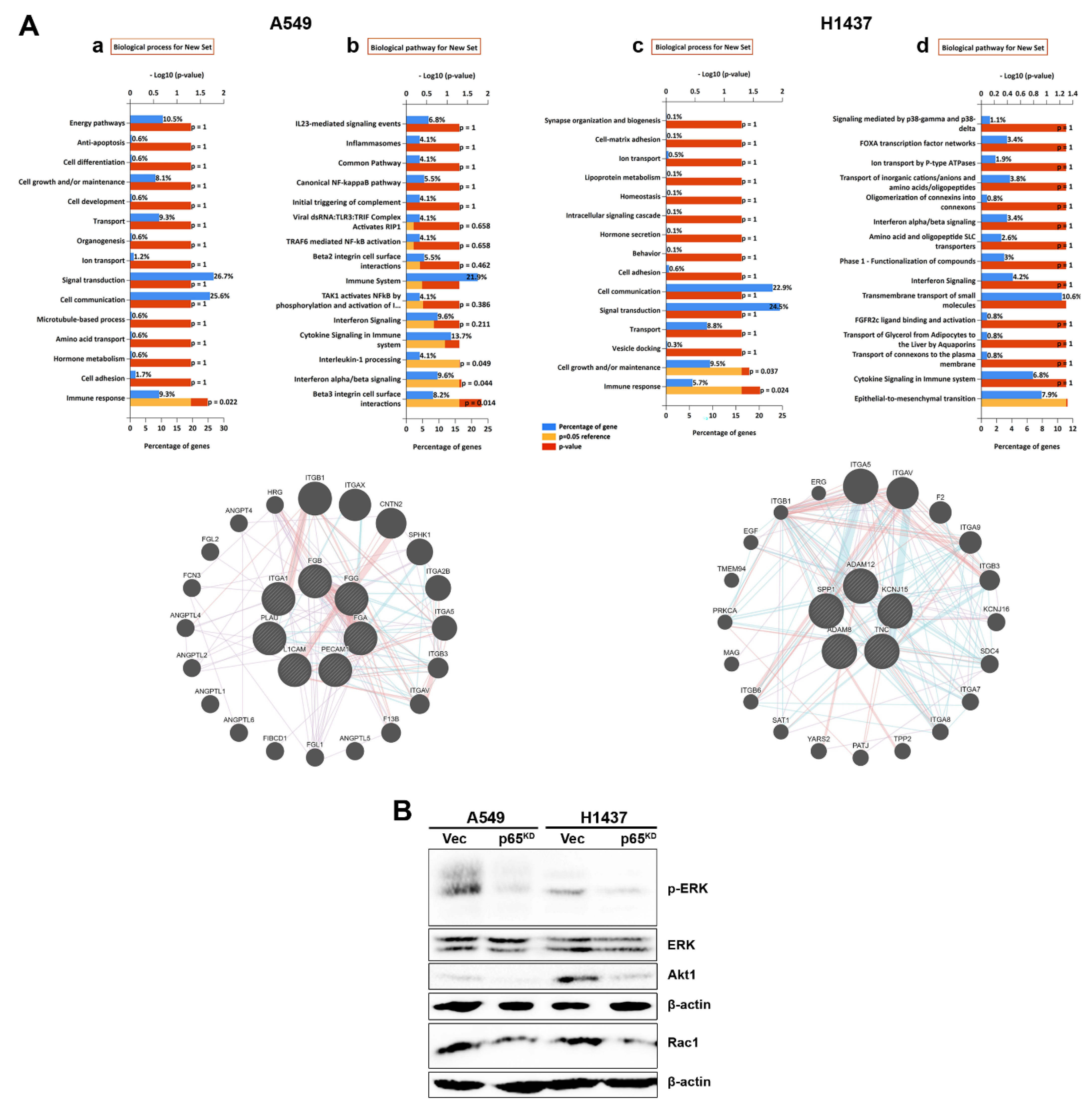Cancers 13 04302 g007 550