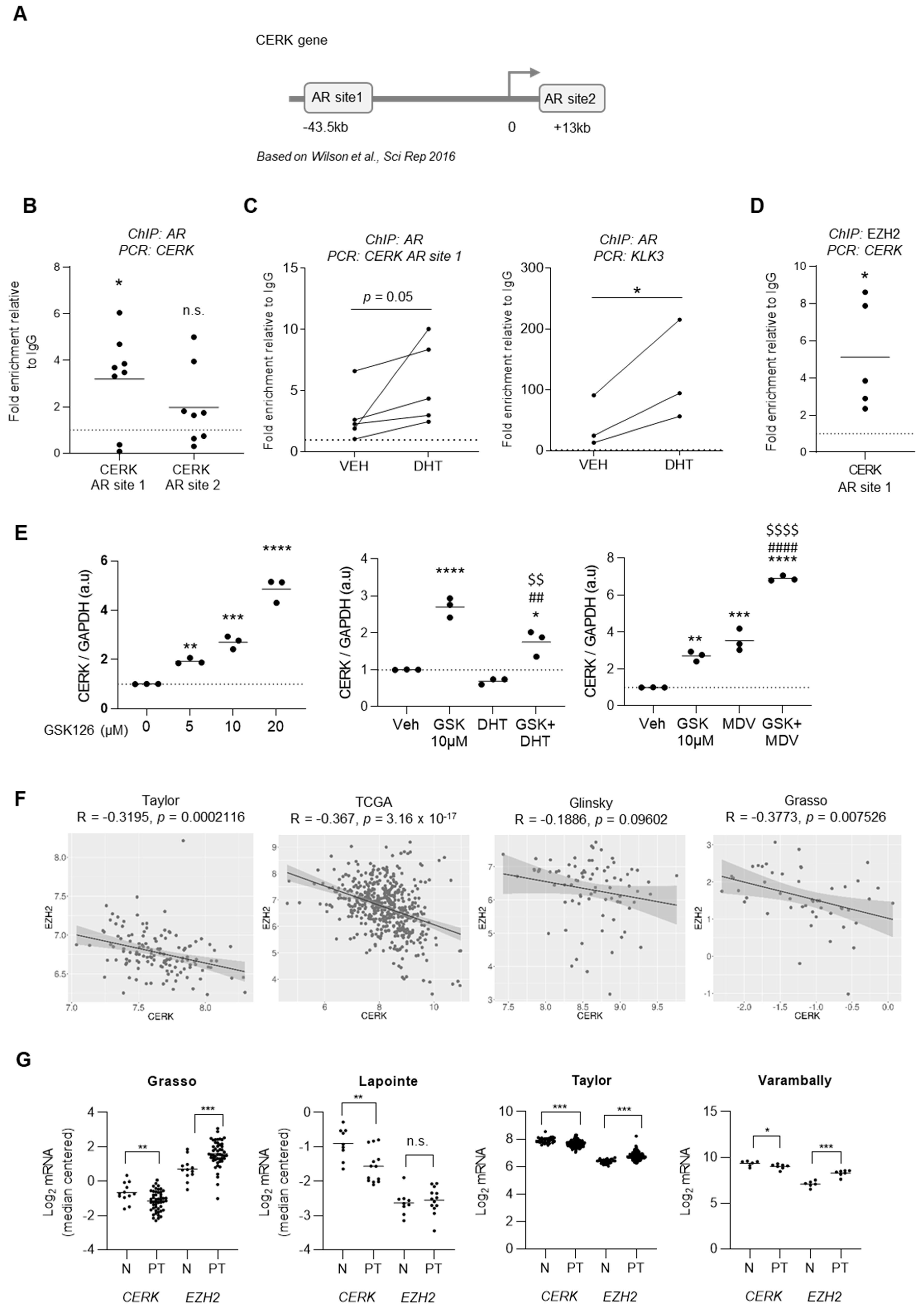 Cancers 13 04307 g003
