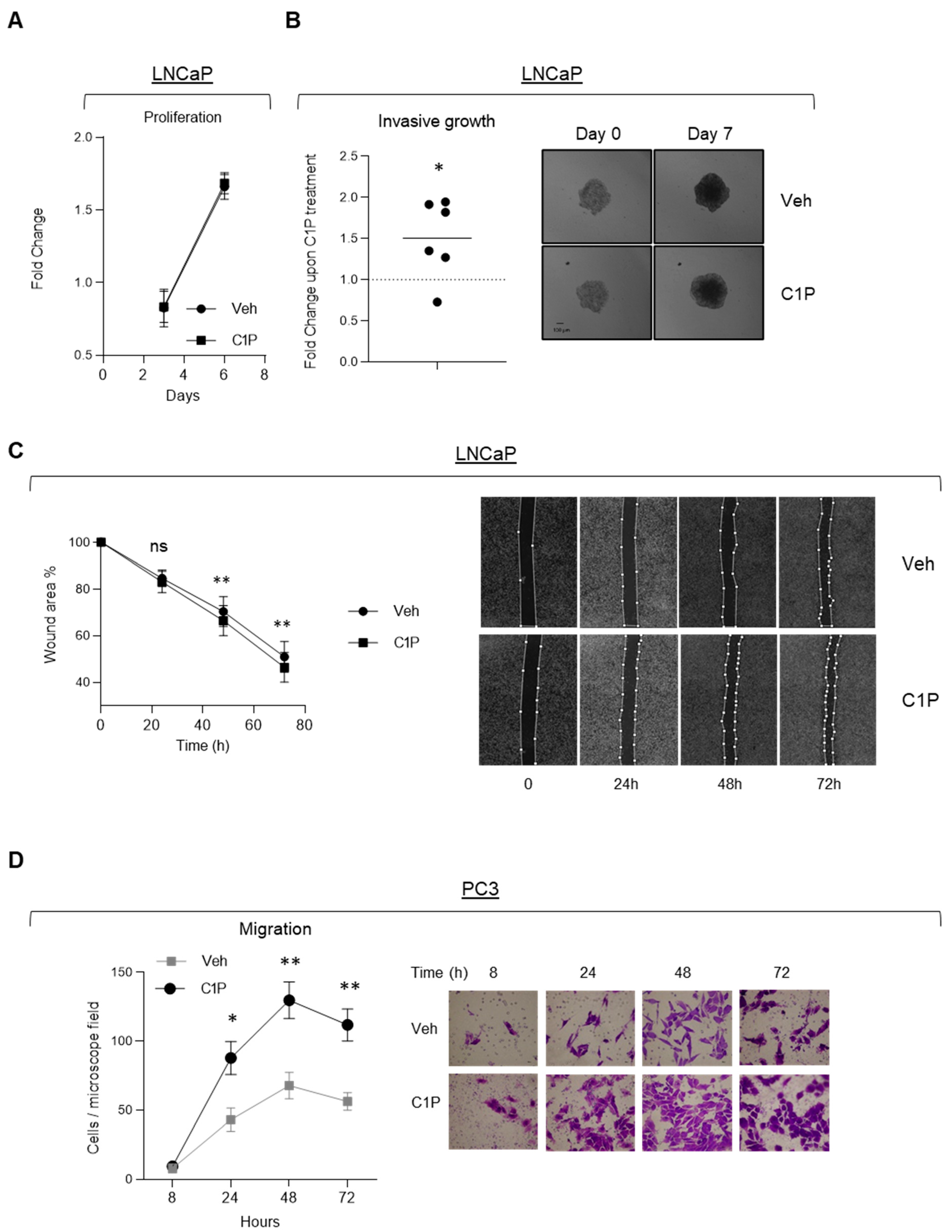 Cancers 13 04307 g004