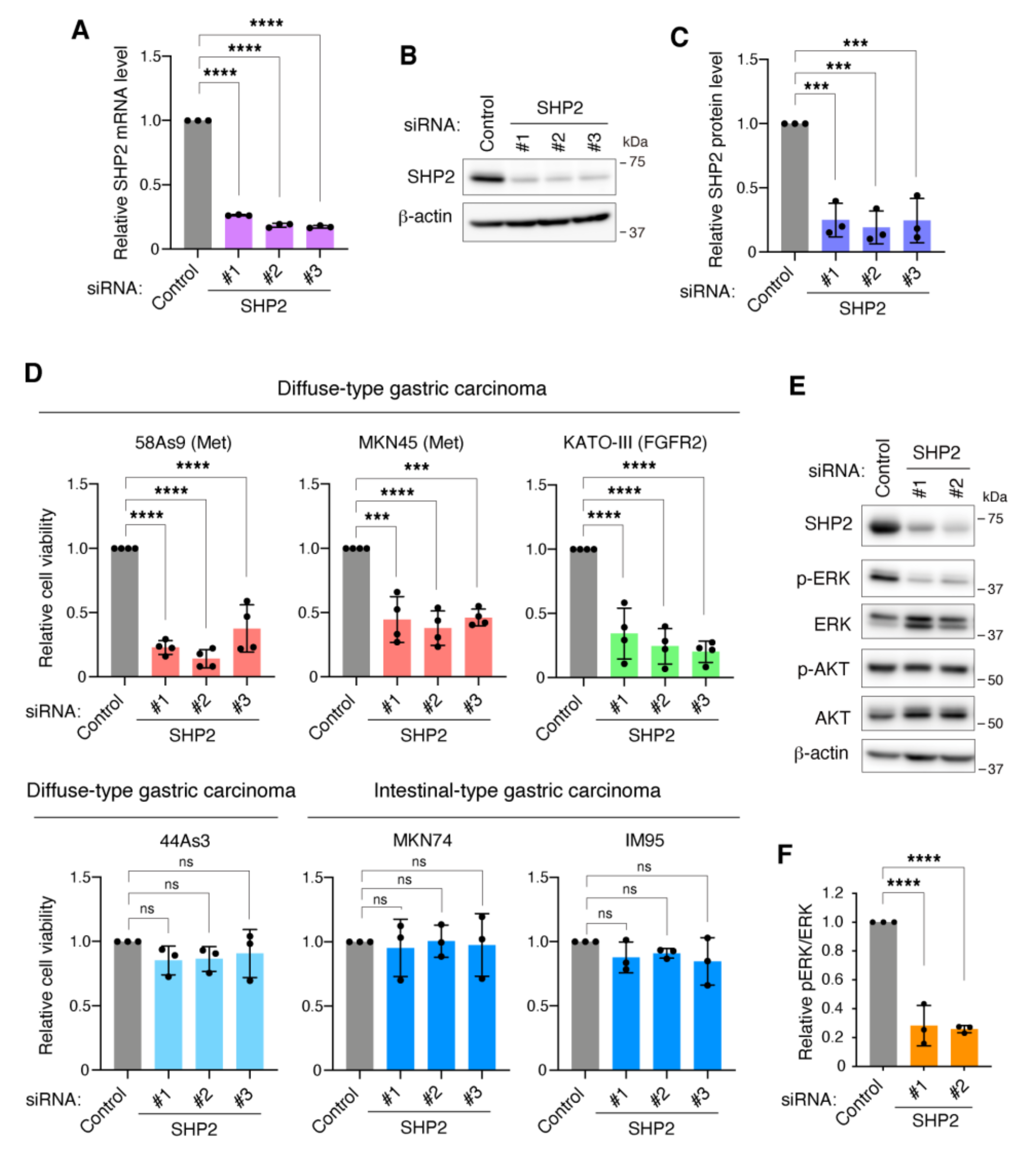 Cancers 13 04309 g003 Cancers 13 04309 g003