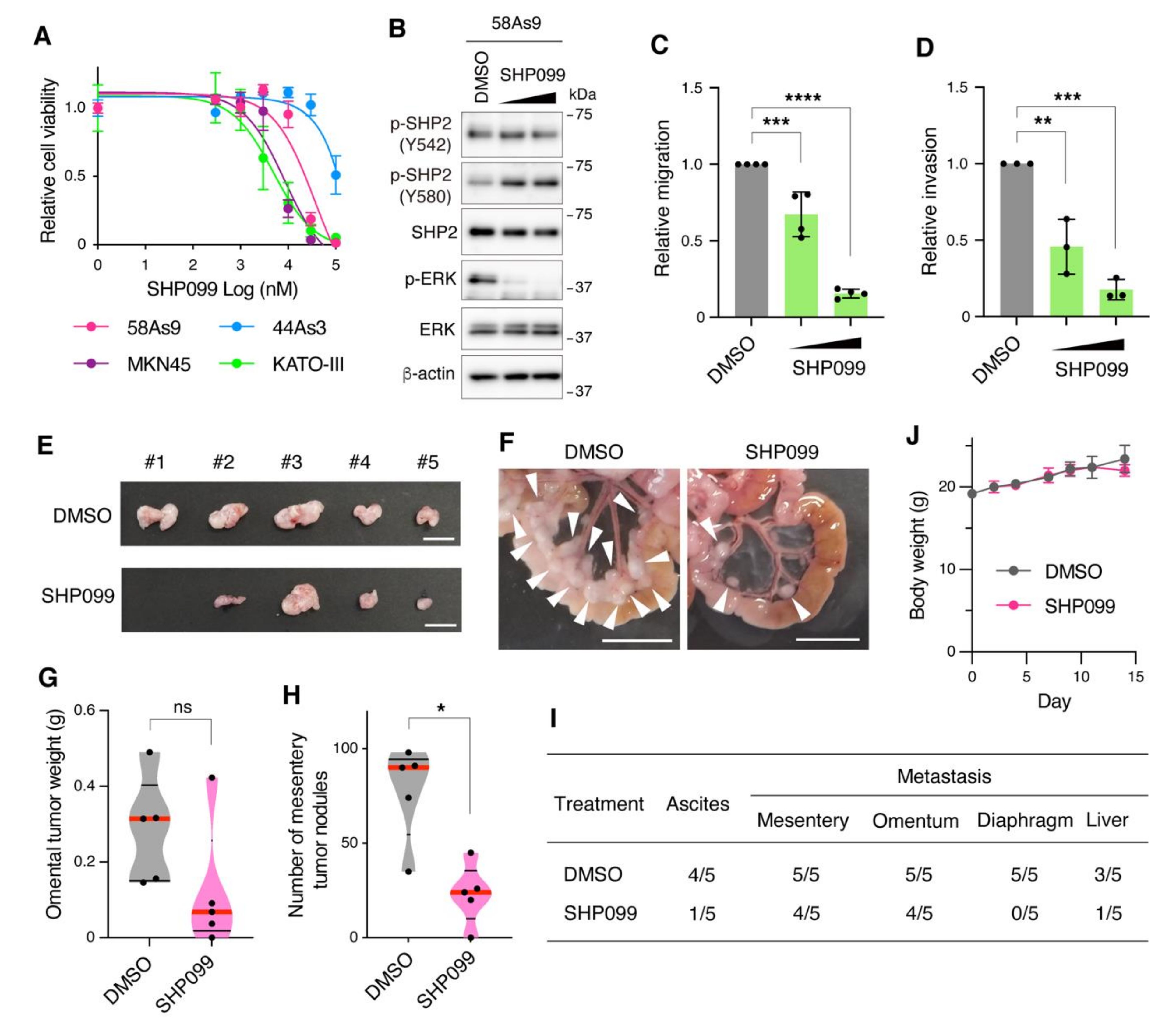 Cancers 13 04309 g005 Cancers 13 04309 g005