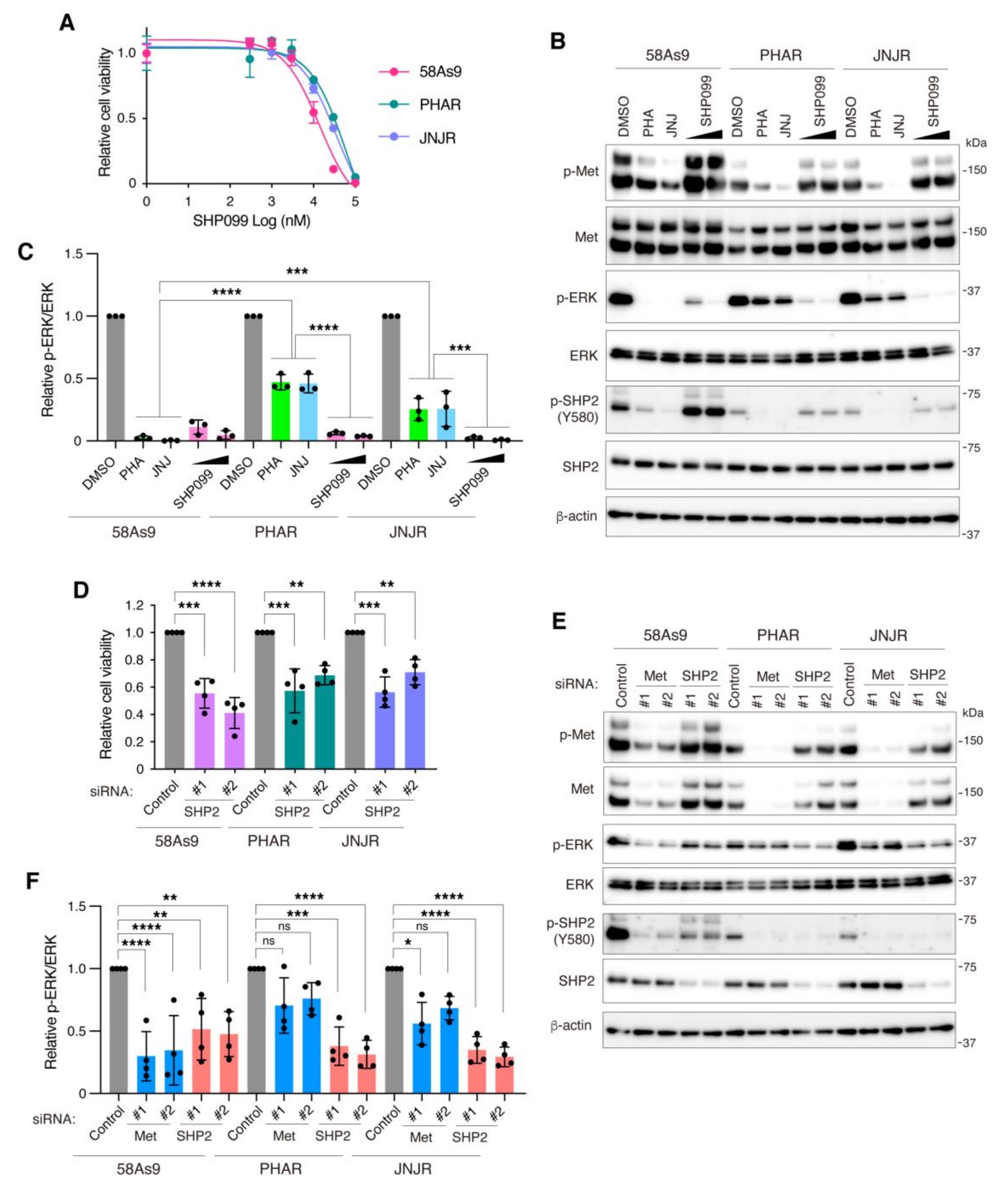 Cancers 13 04309 g006 Cancers 13 04309 g006