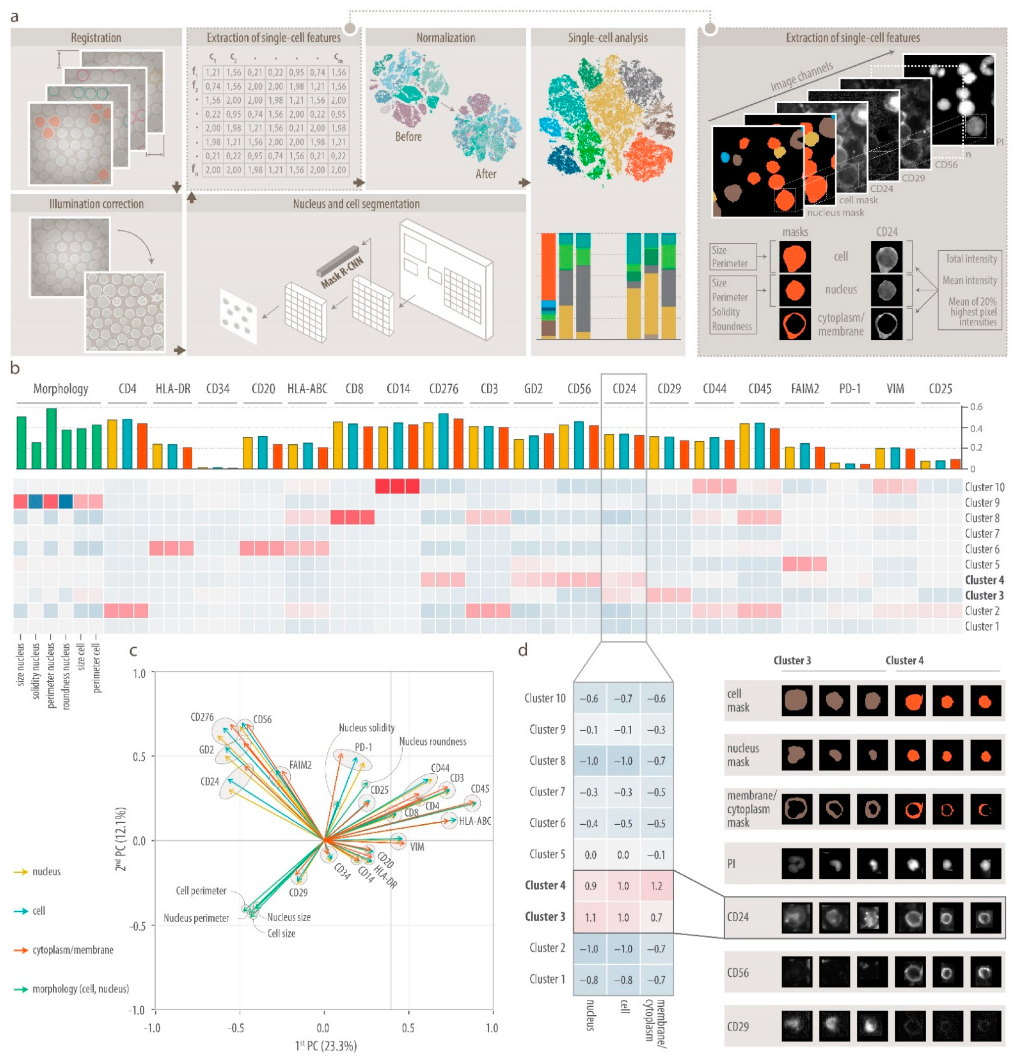 Cancers Free Full-Text Landscape of Bone Marrow Metastasis in Human Neuroblastoma Unraveled by Transcriptomics and Deep Multiplex Imaging