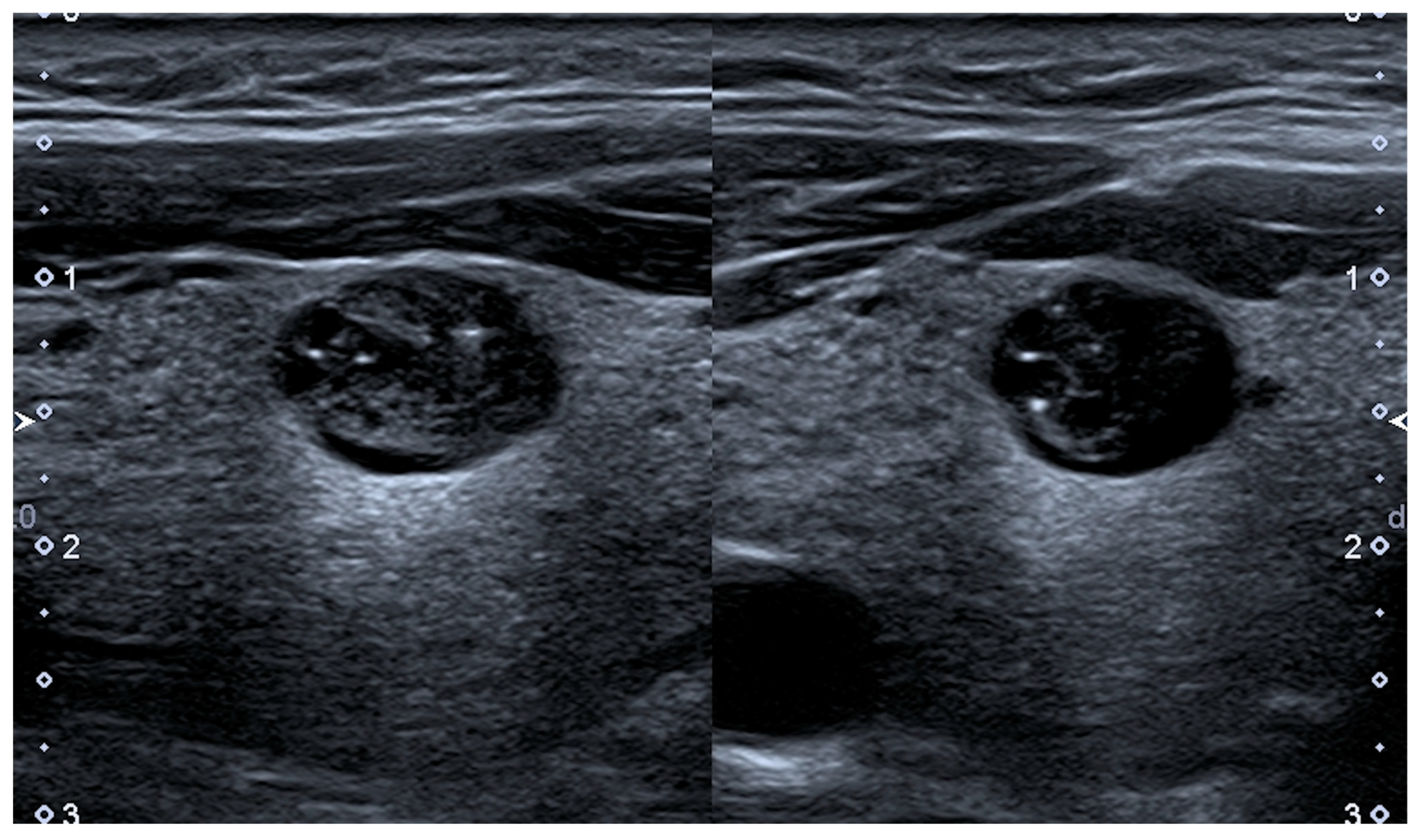 Cancers 13 04316 g001 550