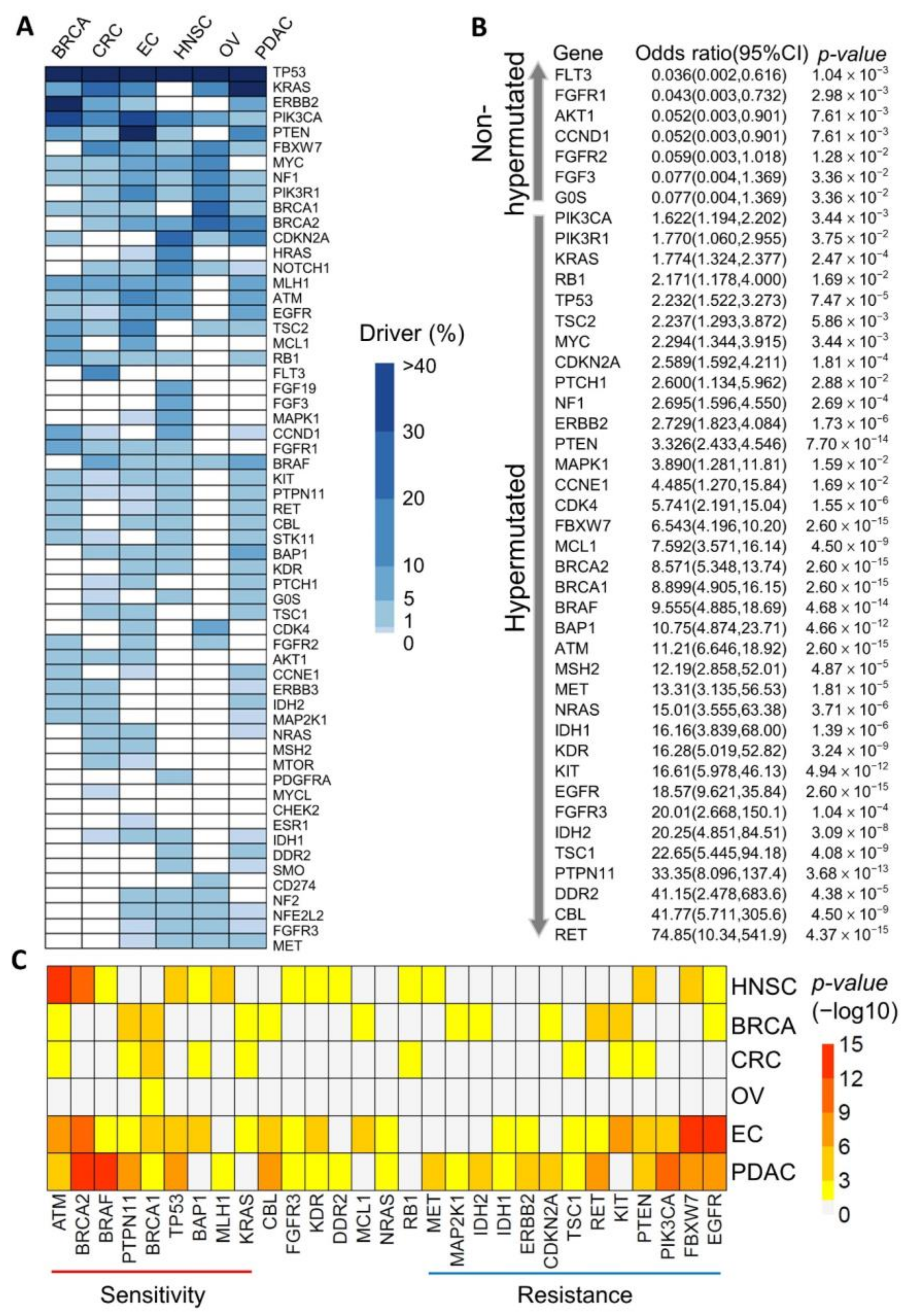 Cancers 13 04317 g001